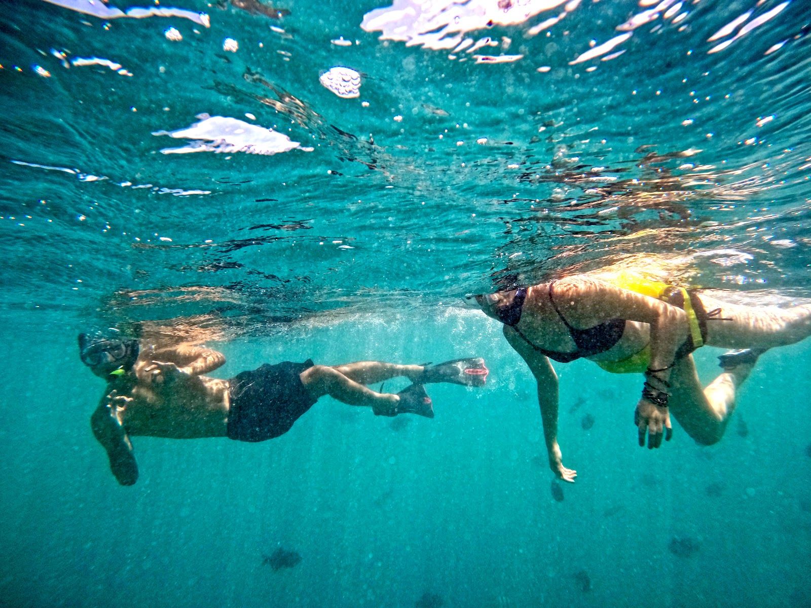Photo 3 of Captain Max Boat Tours in Ala Moana & Mōʻiliʻili, Oahu