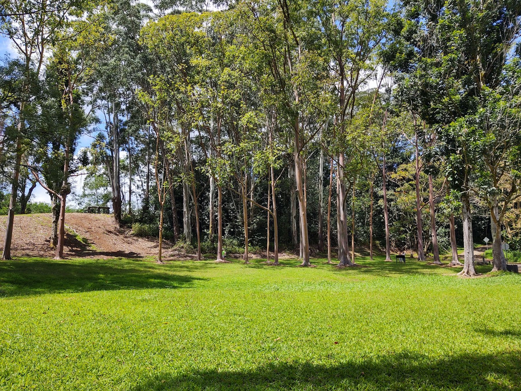 Keahua Arboretum in Kapaʻa, Kaua‘i photo 3