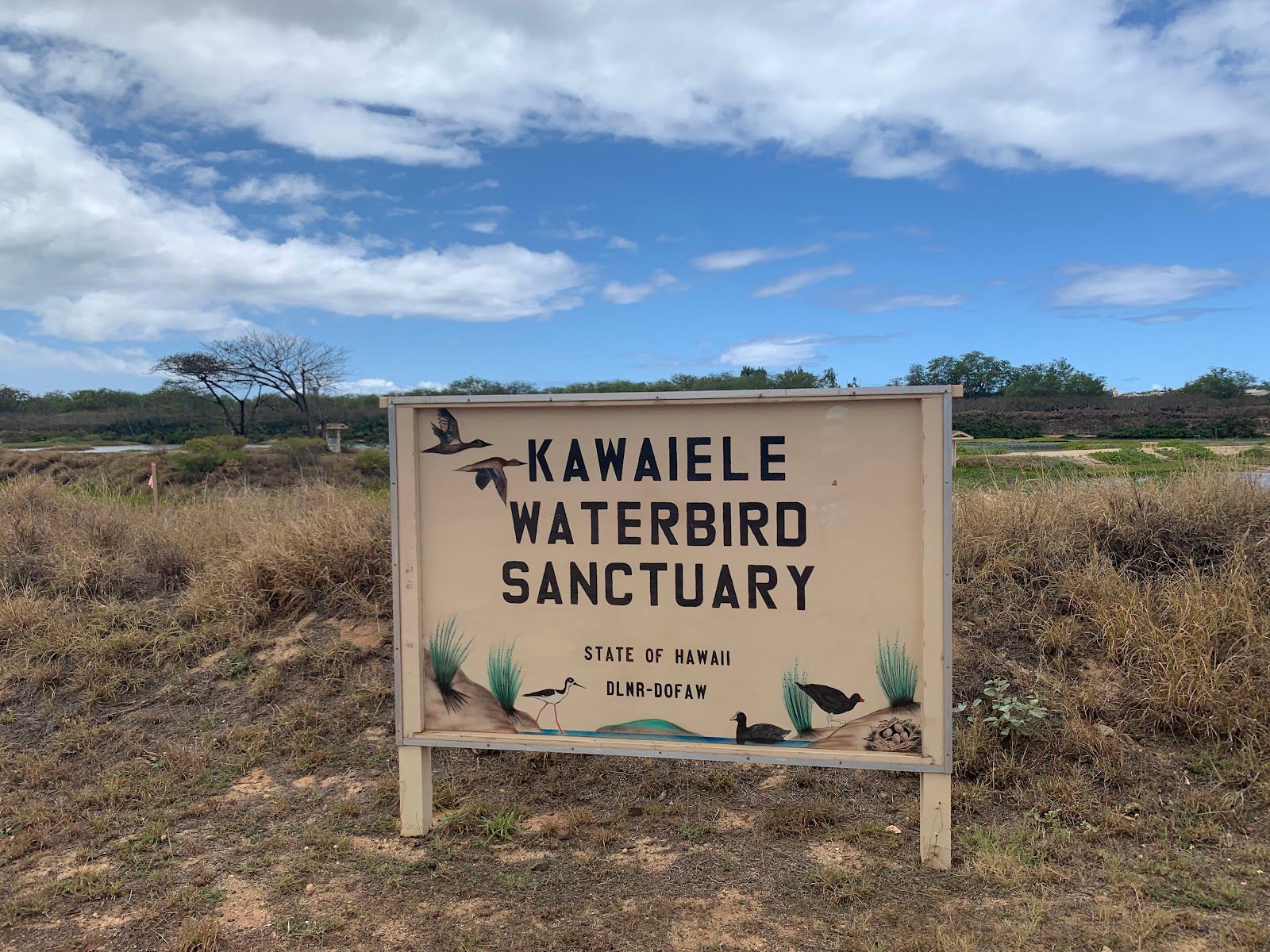 Kawaiʻele Waterbird Sanctuary in Kekaha, Kaua‘i