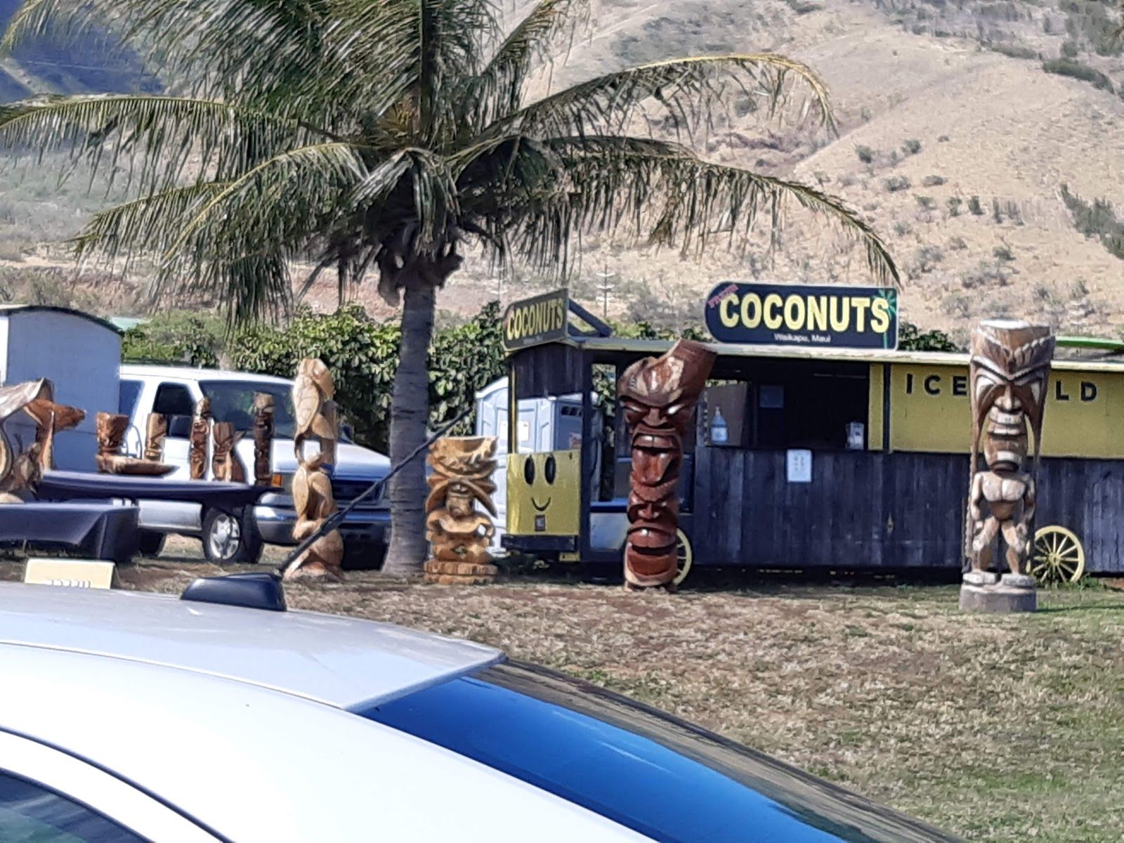 Photo 1 of The Coconut Inc in Māʻalaea, Maui