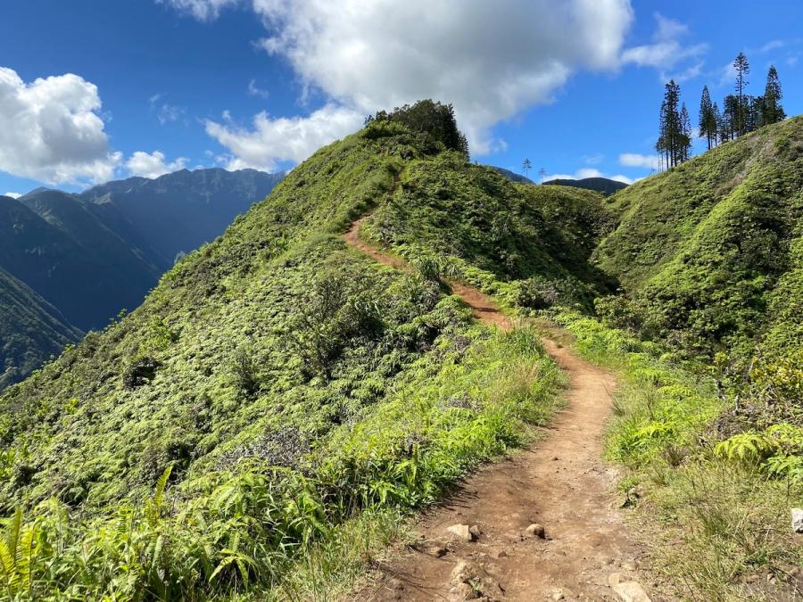 Photo 8 of Waihee Ridge Trail in Wailuku, Maui