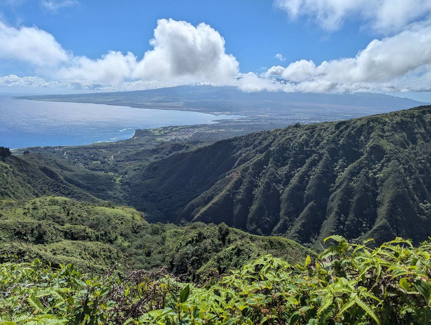 Photo 3 of Waihee Ridge Trail in Wailuku, Maui