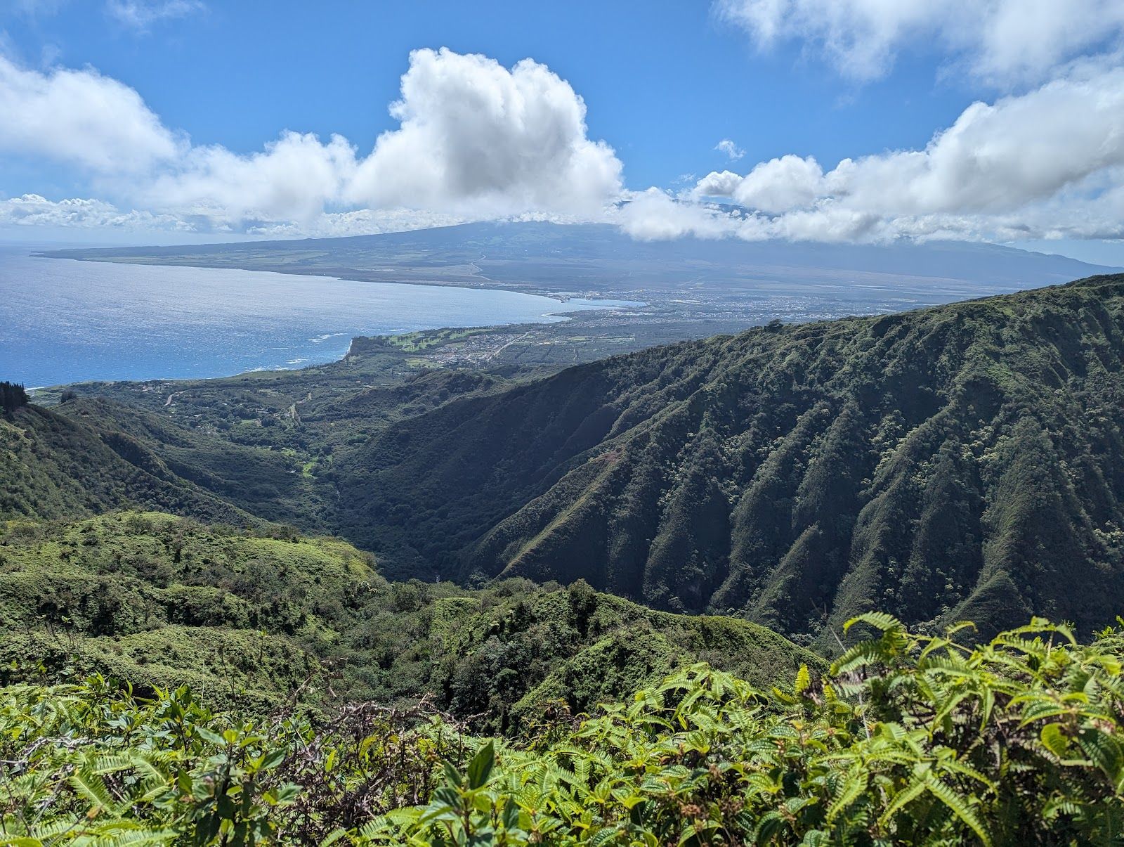 Photo 3 of Waihee Ridge Trail in Wailuku, Maui