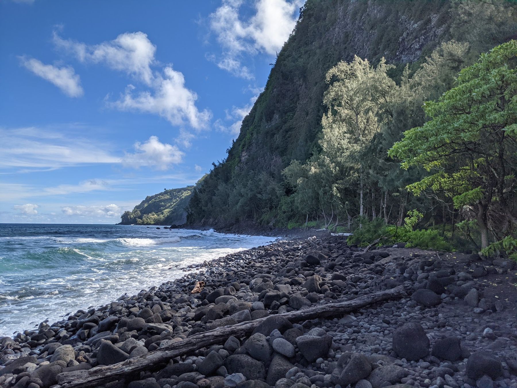 Photo 3 of Muliwai Trail in Waipiʻo, Big Island