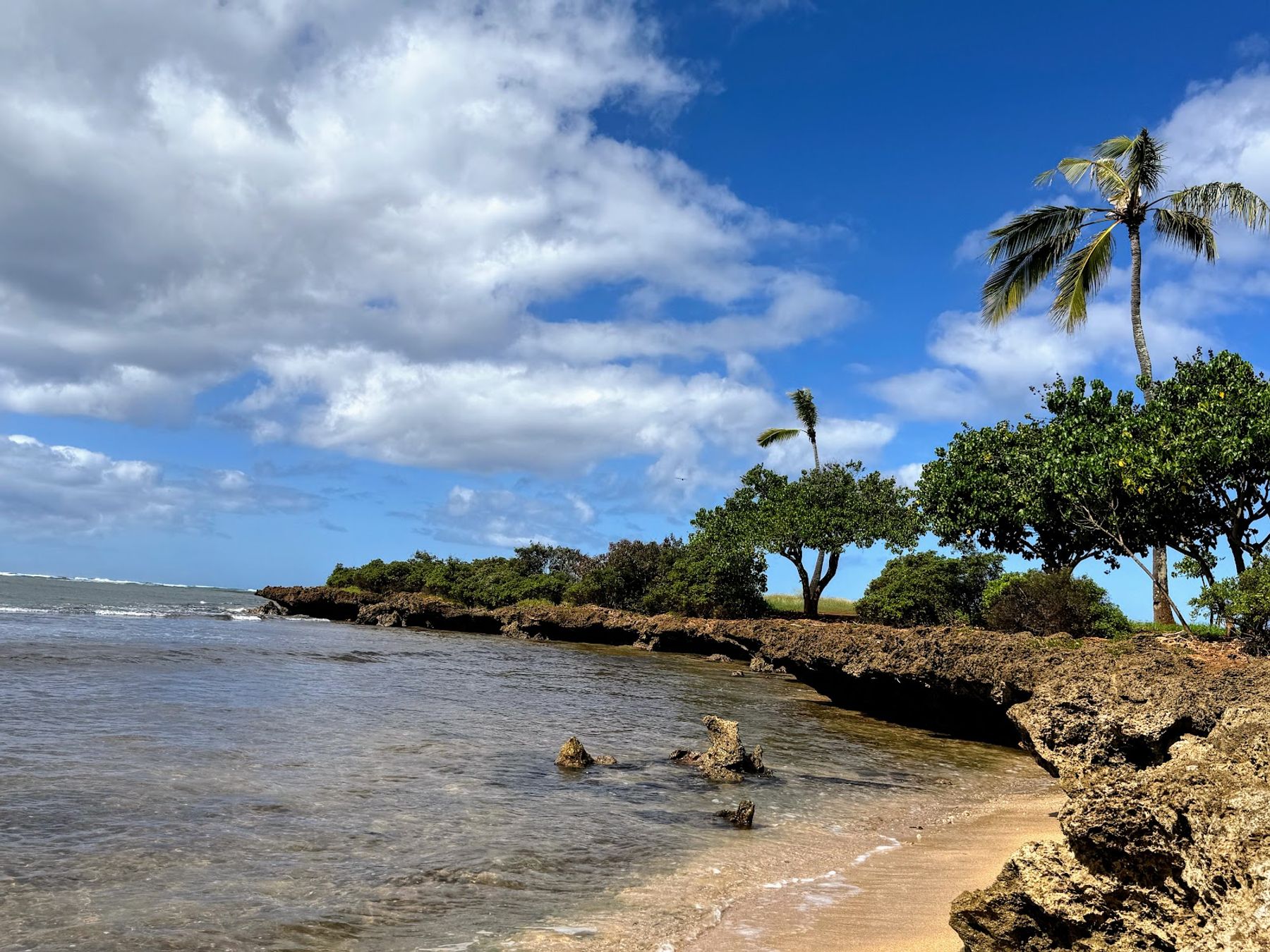 Photo 3 of Bill and Peggy Paty Kaiaka Bay Beach Park in Haleʻiwa, Oahu