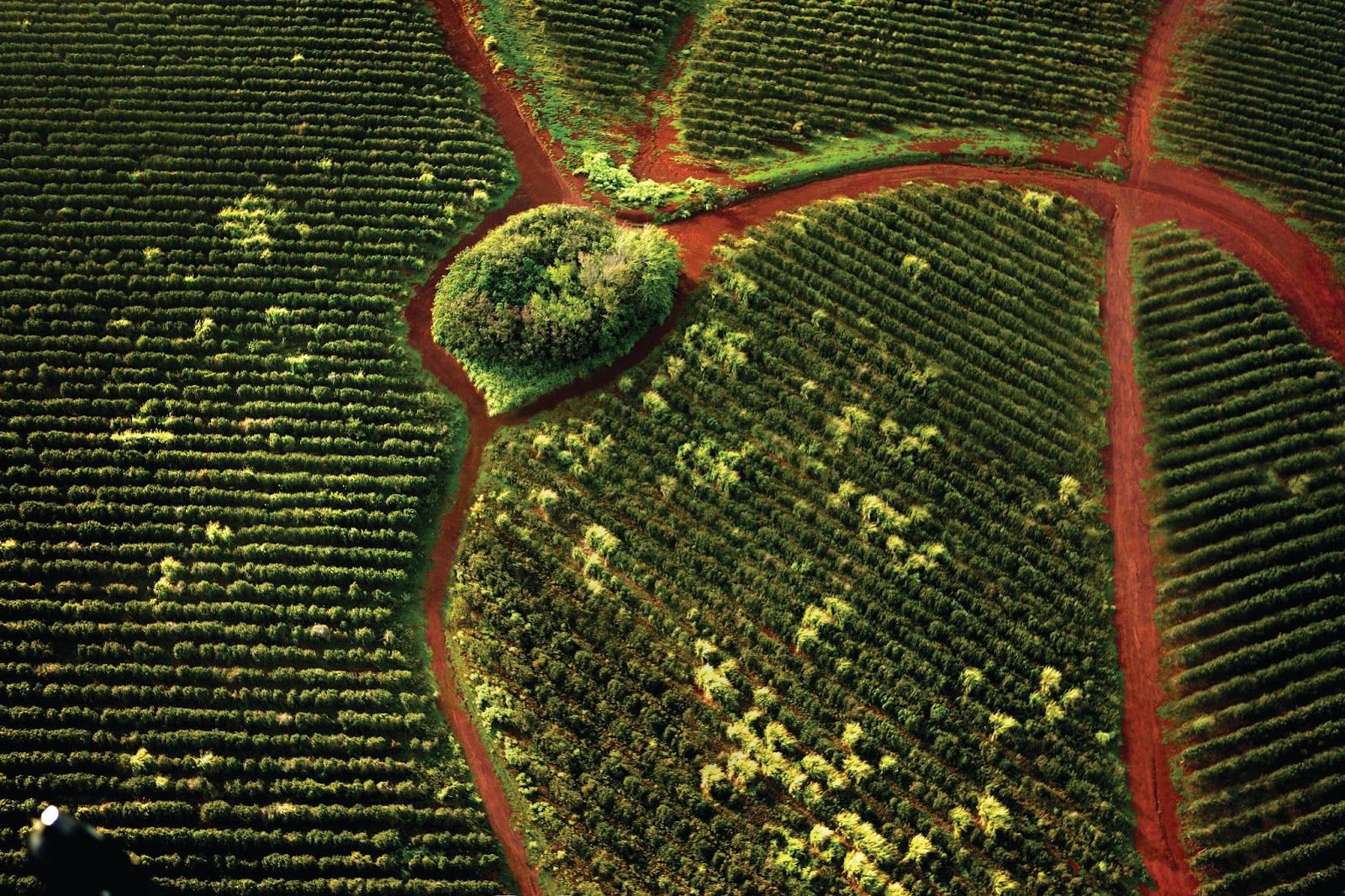 Wednesday on the South Shore