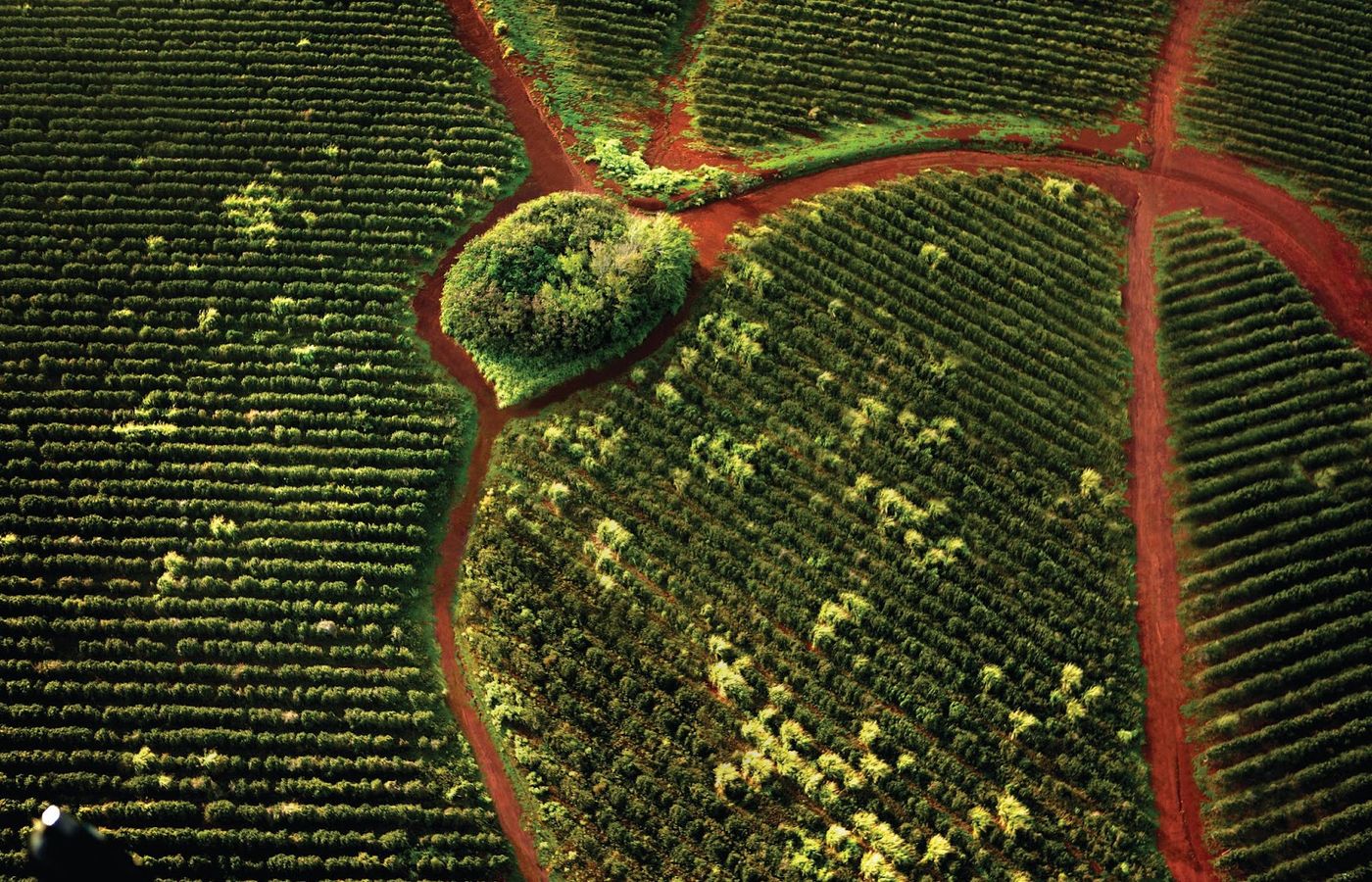 Wednesday on the South Shore