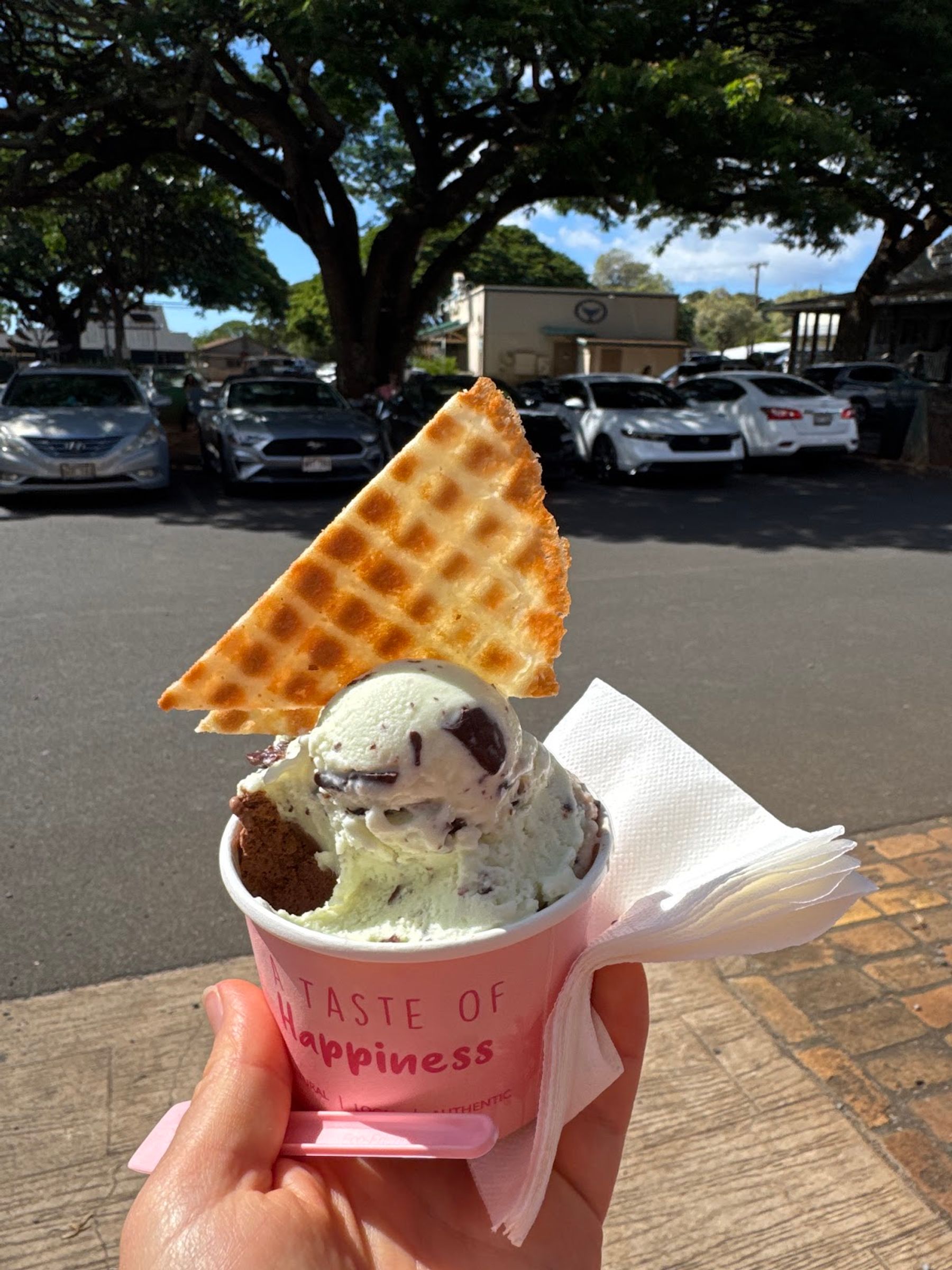 Photo 6 of IL Gelato Cafe Haleiwa in Haleʻiwa, Oahu