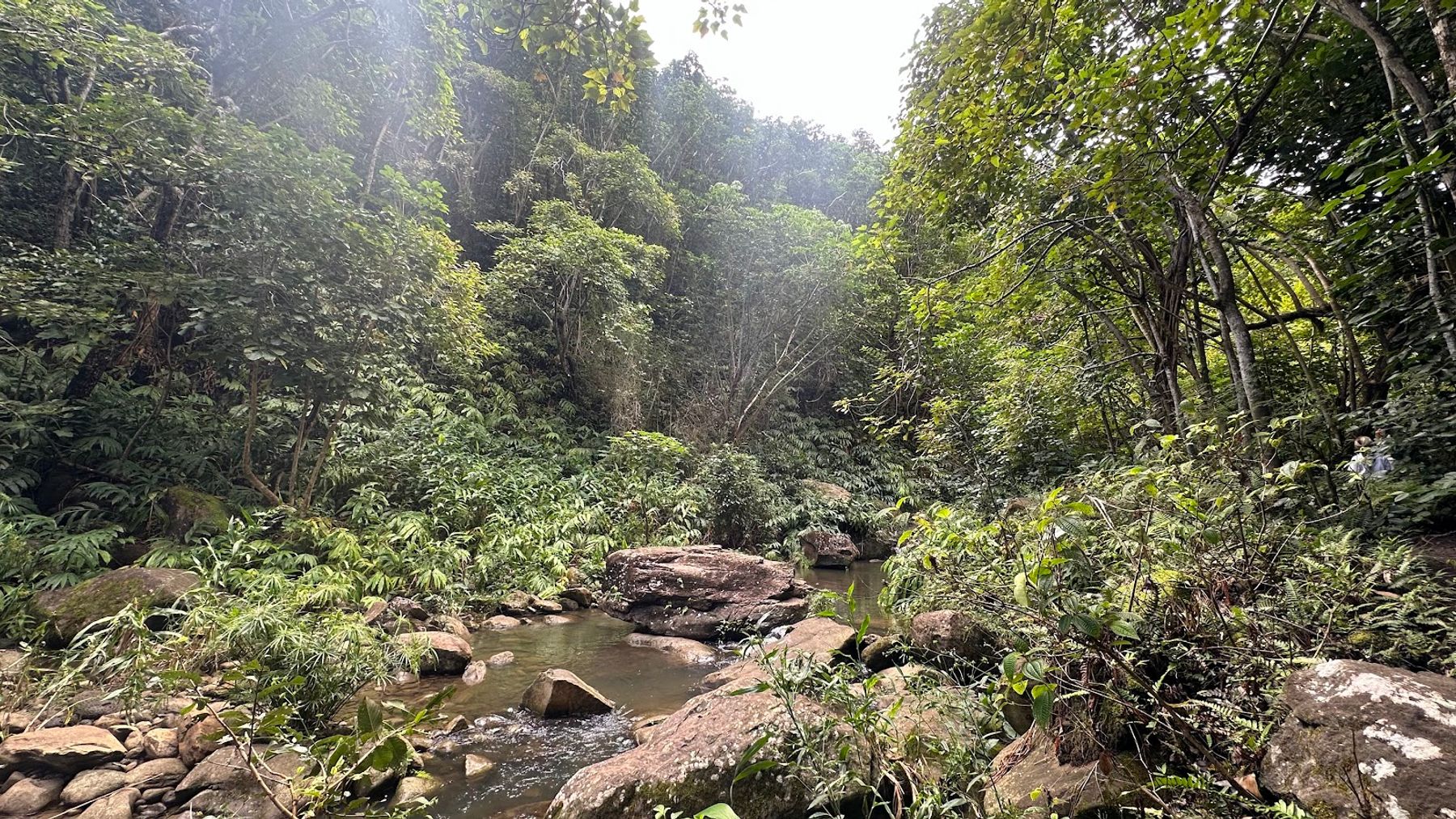 Photo 3 of Makamakaole Trail in Wailuku, Maui