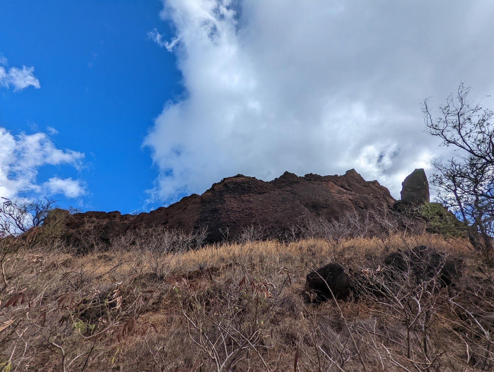 Photo 8 of Olowalu Petroglyphs in Olowalu, Maui