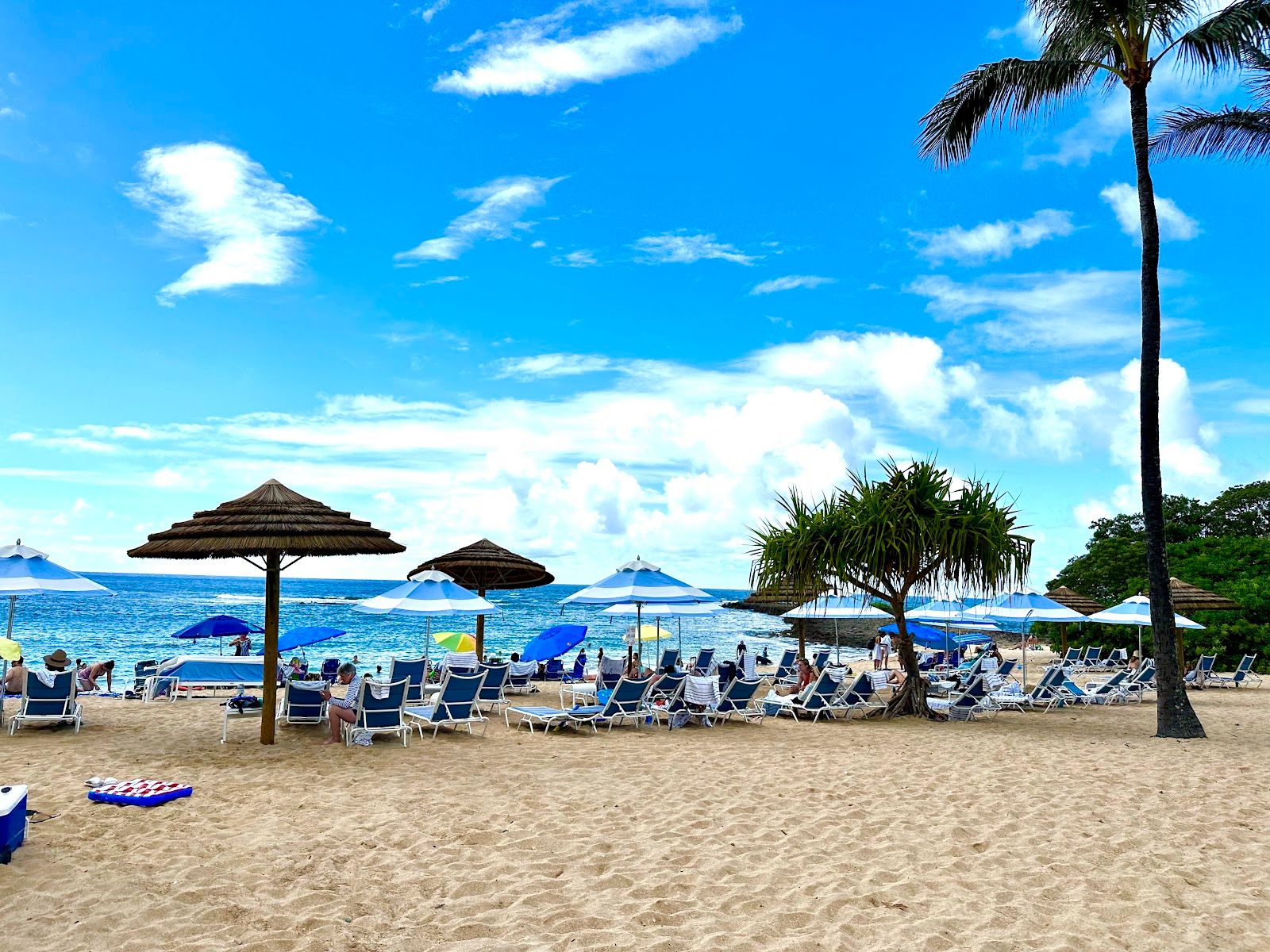 Photo 8 of Turtle Beach in Kahuku & Turtle Bay, Oahu