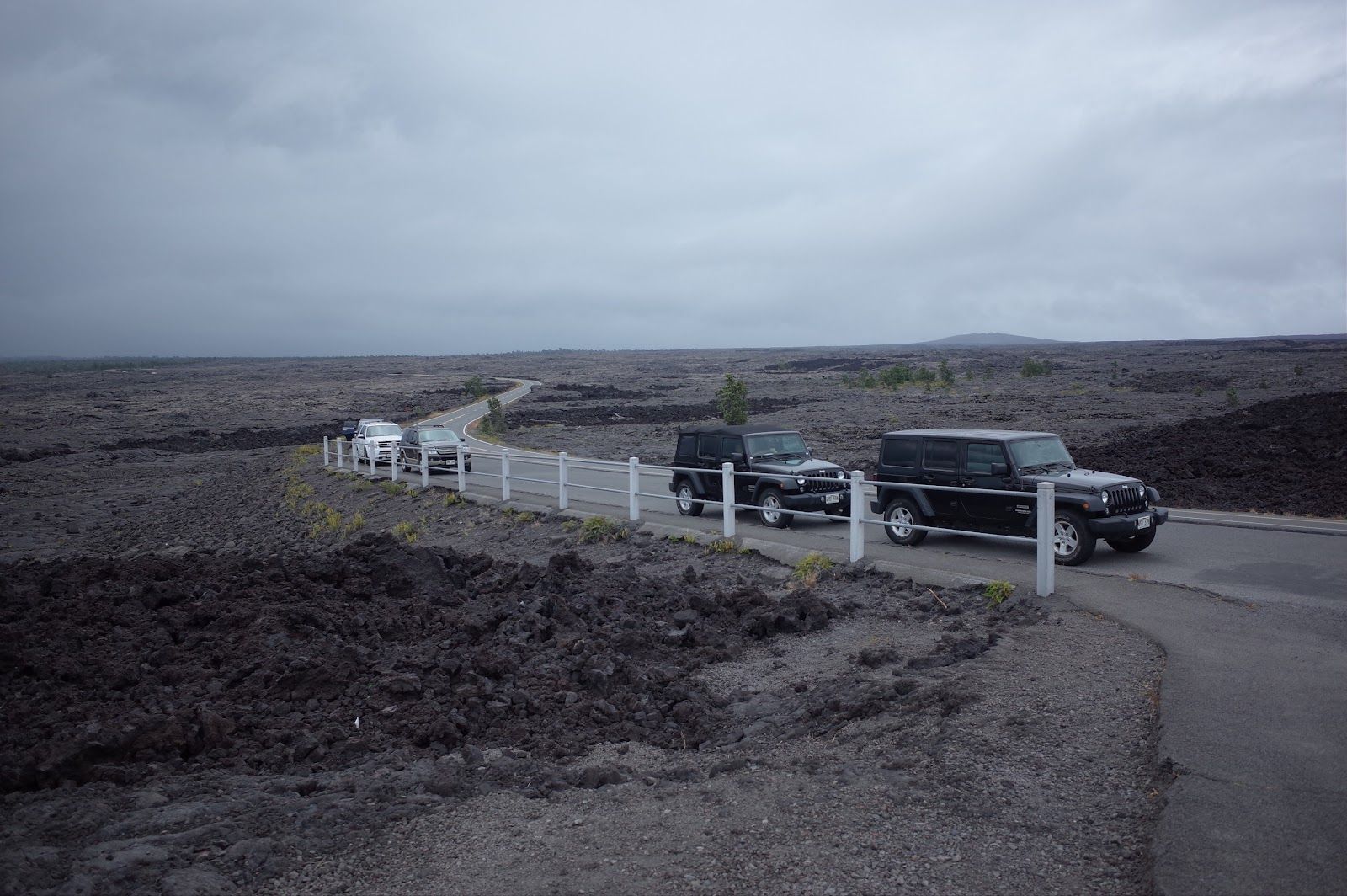 Photo 7 of Chain of Craters Road in Volcano, Big Island