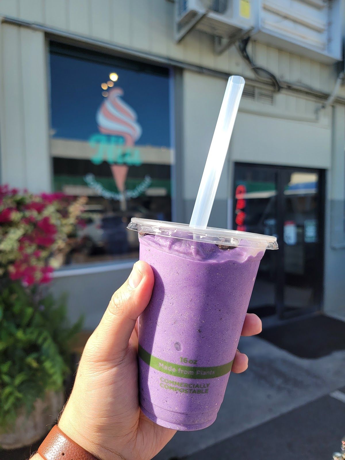 Photo 7 of Niu Soft Serve Parlour in Ala Moana & Mōʻiliʻili, Oahu