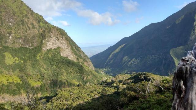 Misty green cliffs and valley scenery at Iao Valley State Monument.
