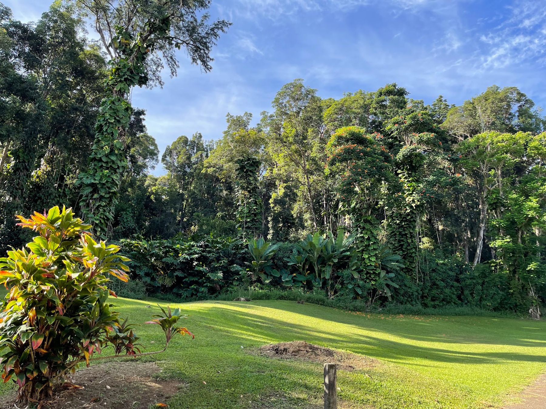 Photo 4 of Kaumahina State Wayside Park in Keʻanae-Nāhiku, Maui