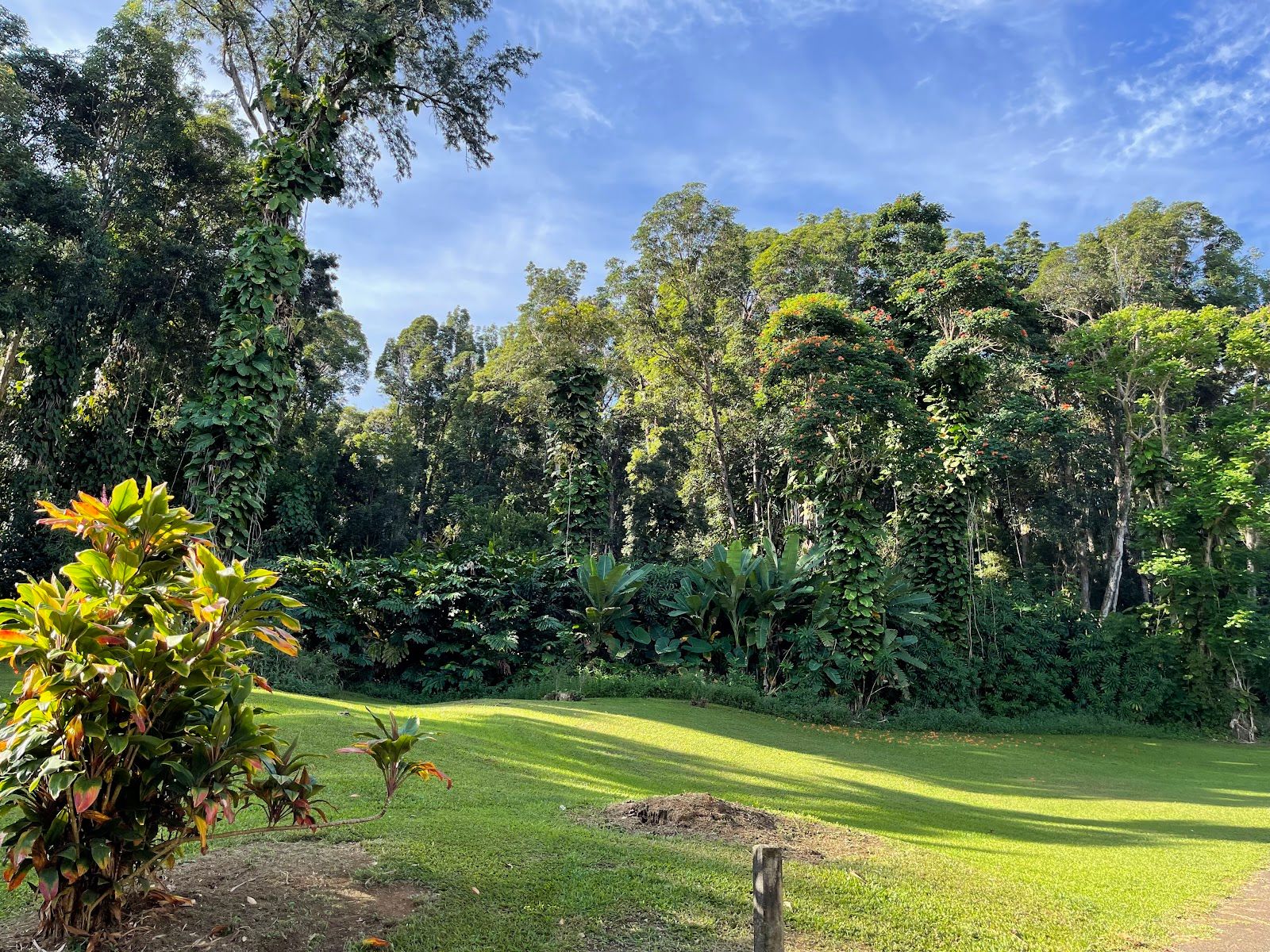 Photo 4 of Kaumahina State Wayside Park in Keʻanae-Nāhiku, Maui