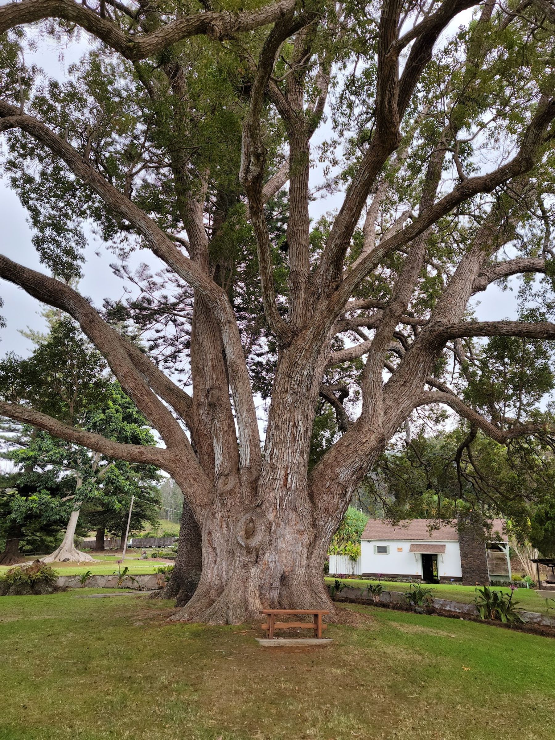 Photo 3 of MauiWine in Ulupalakua, Maui