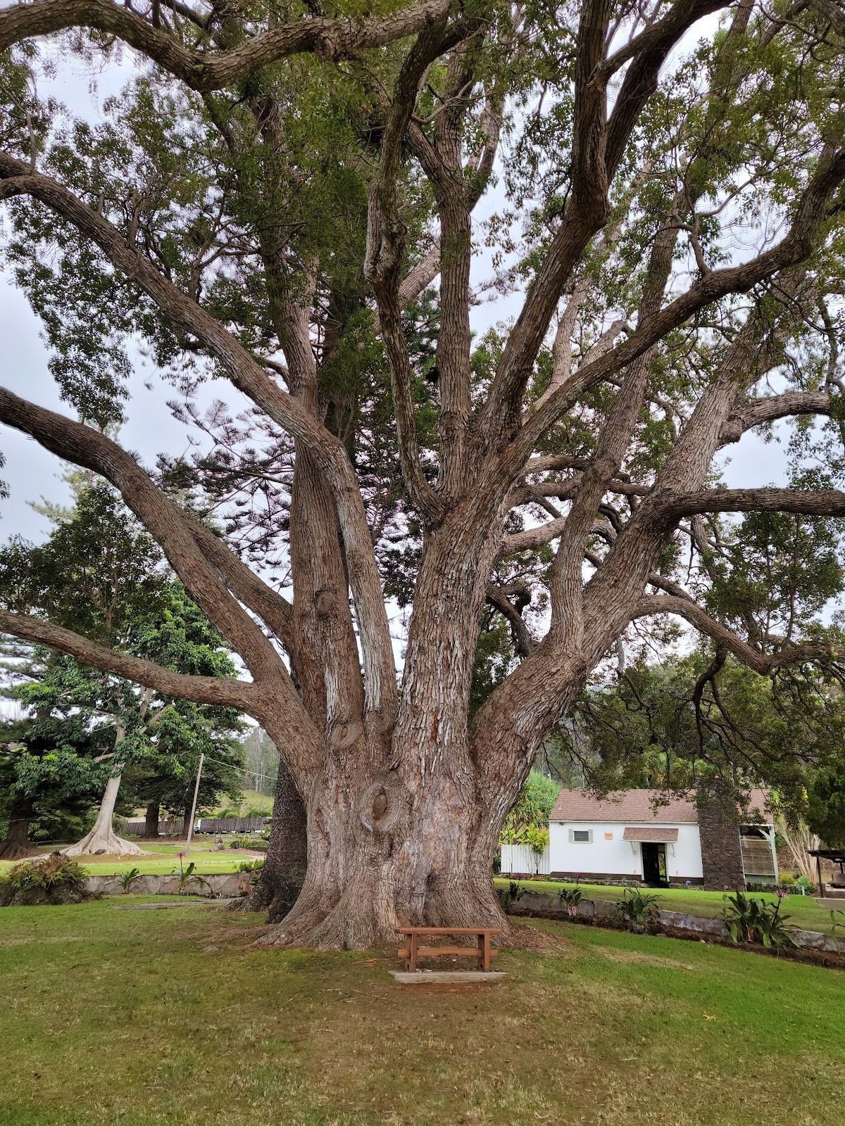 Photo 3 of MauiWine in Ulupalakua, Maui