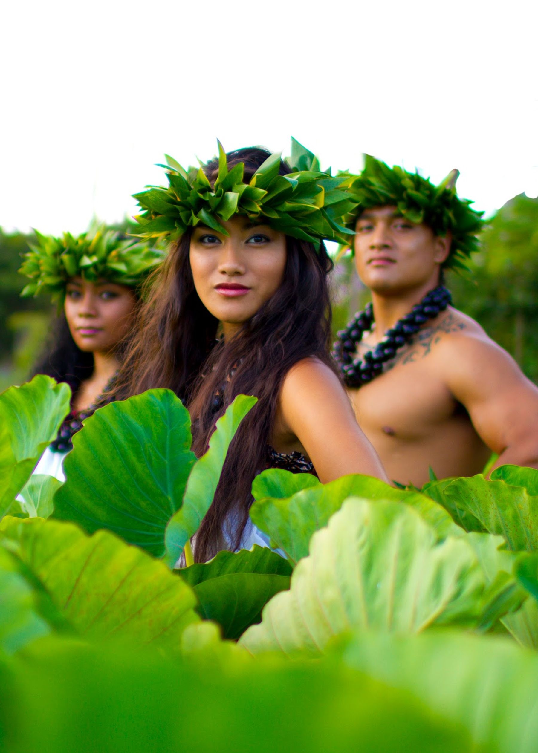 Photo 1 of Island Breeze Lū‘au - He 'Ohana Kakou in Kailua-Kona, Big Island