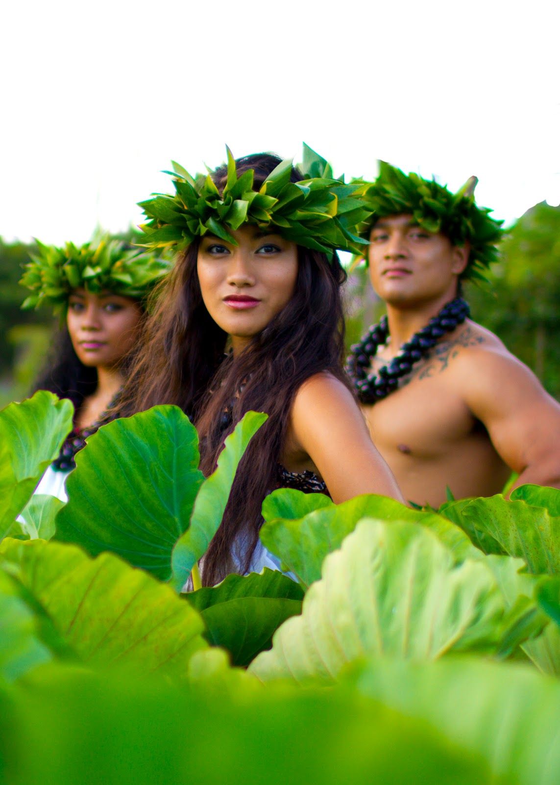 Photo 1 of Island Breeze Lū‘au - He 'Ohana Kakou in Kailua-Kona, Big Island