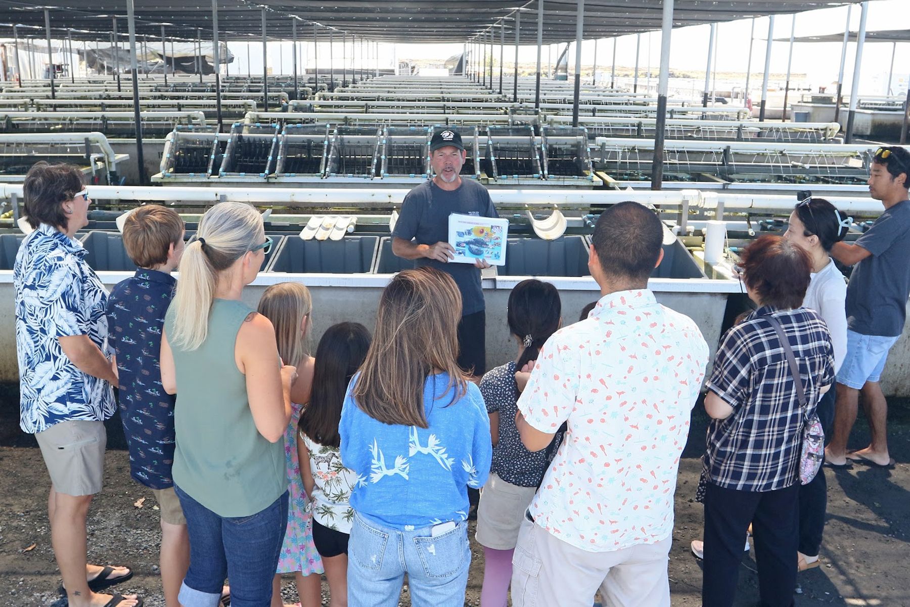 Photo 1 of Big Island Abalone (Kona Aquaculture Inc) in Kailua-Kona, Big Island