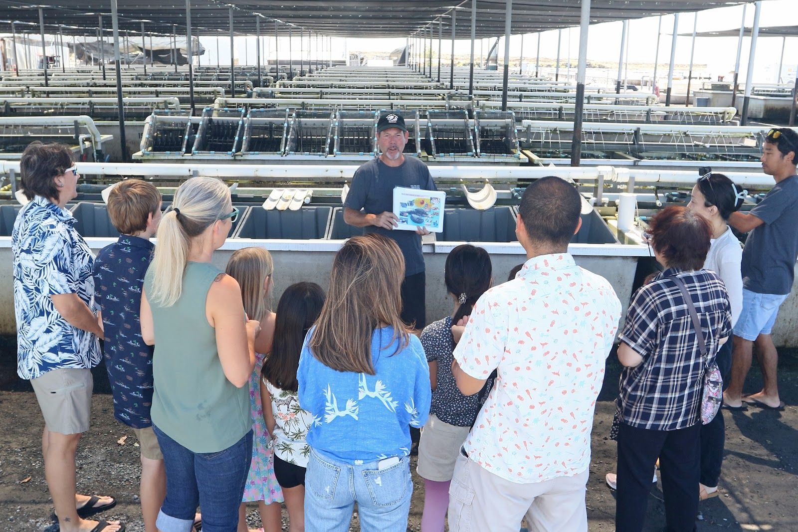 Photo 1 of Big Island Abalone (Kona Aquaculture Inc) in Kailua-Kona, Big Island