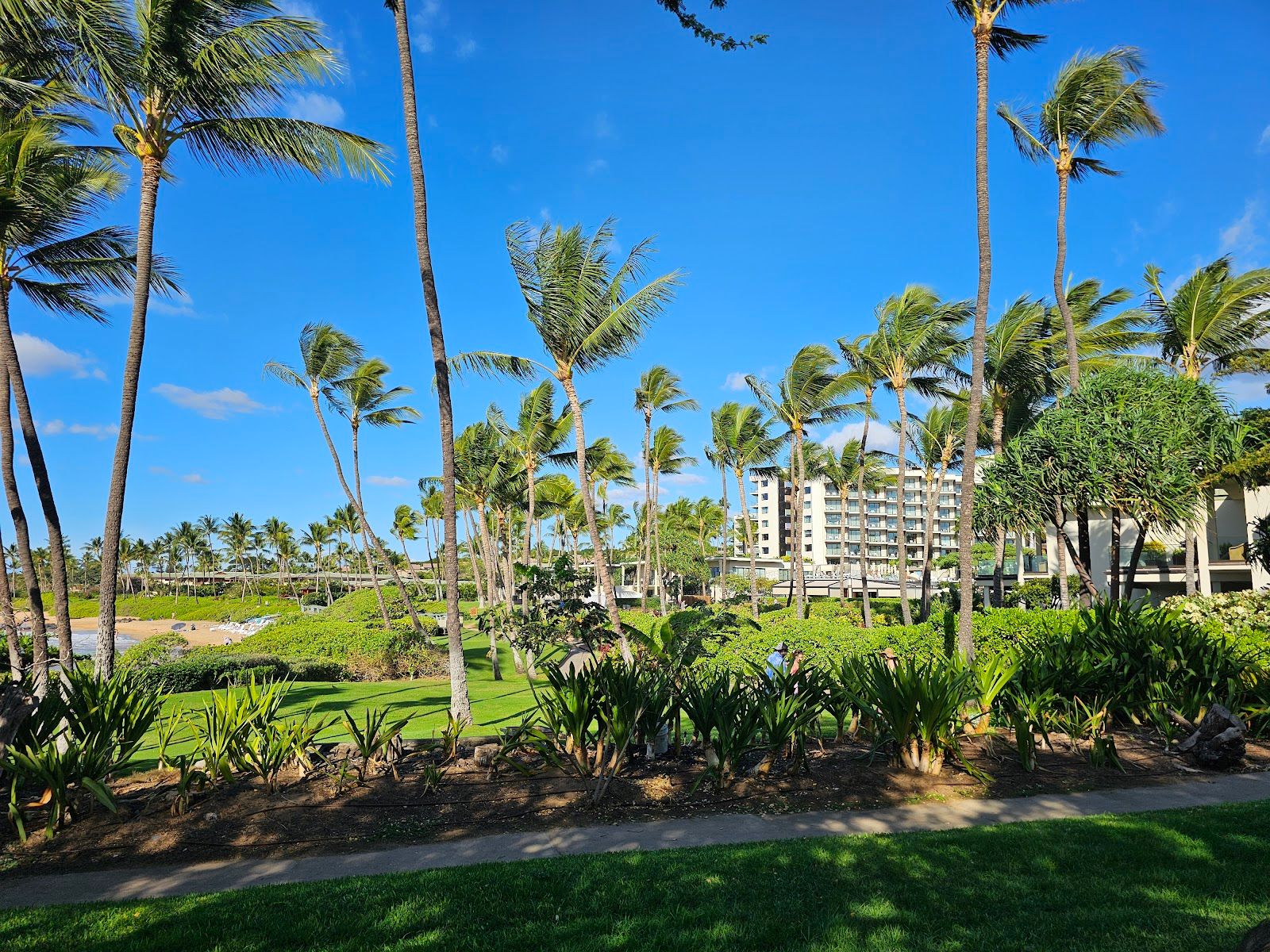 Photo 5 of Mokapu Beach Park in Wailea, Maui