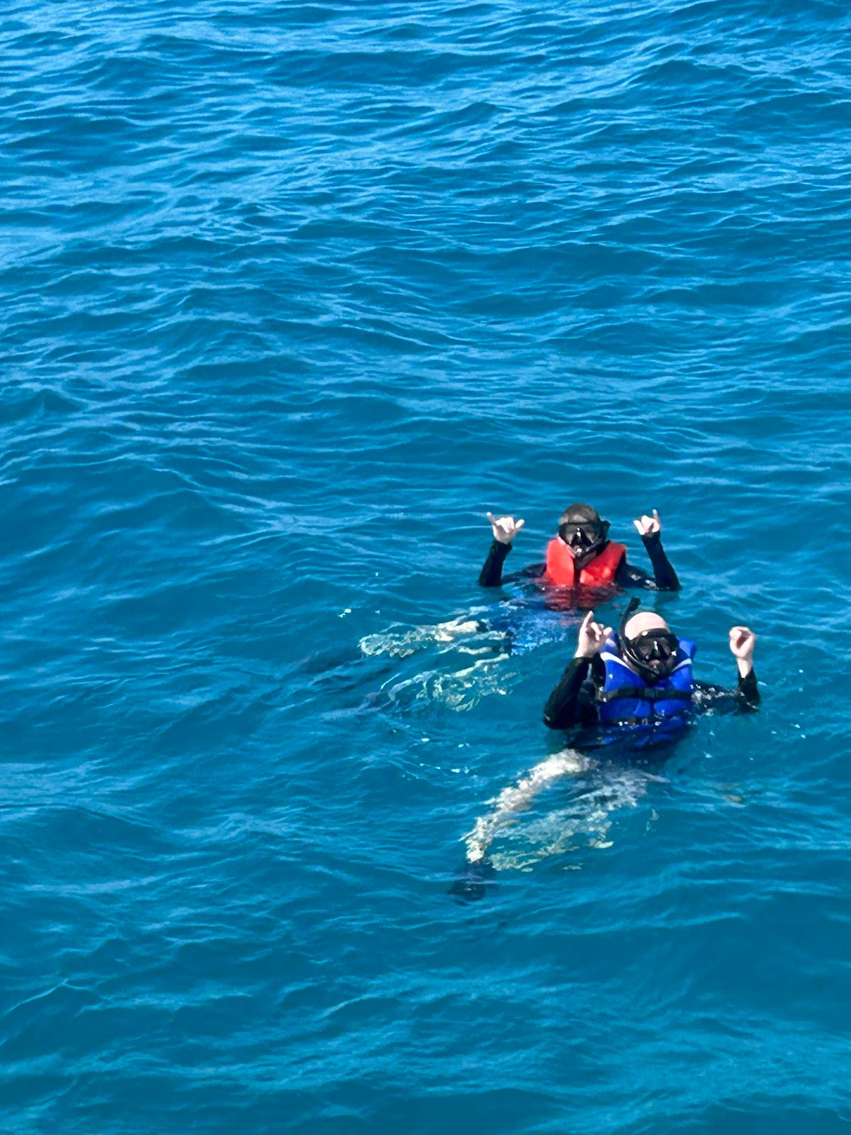 Photo 8 of E Sea Diver in Ala Moana & Mōʻiliʻili, Oahu