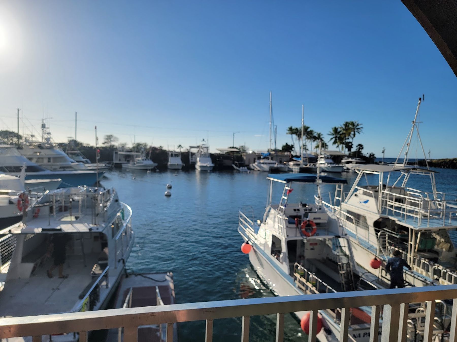 Photo 3 of Wahine Charters Kona, Hawaii in Kailua-Kona, Big Island