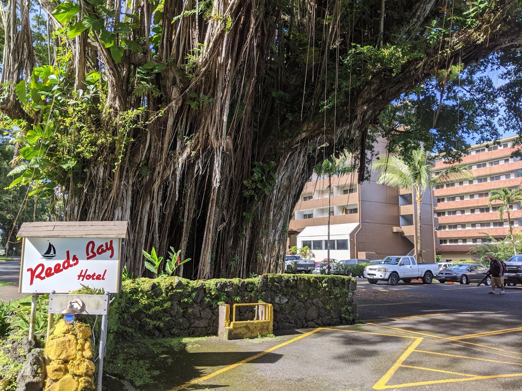 Photo 5 of Hilo Reeds Bay Hotel in Hilo, Big-island