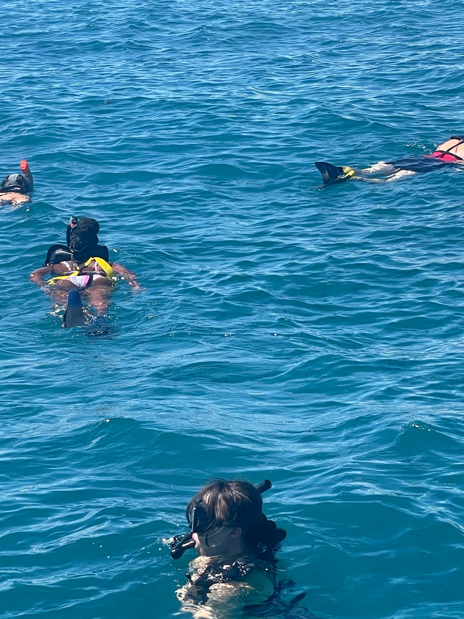 Photo 10 of Honolulu Snorkel Company in Ala Moana & Mōʻiliʻili, Oahu