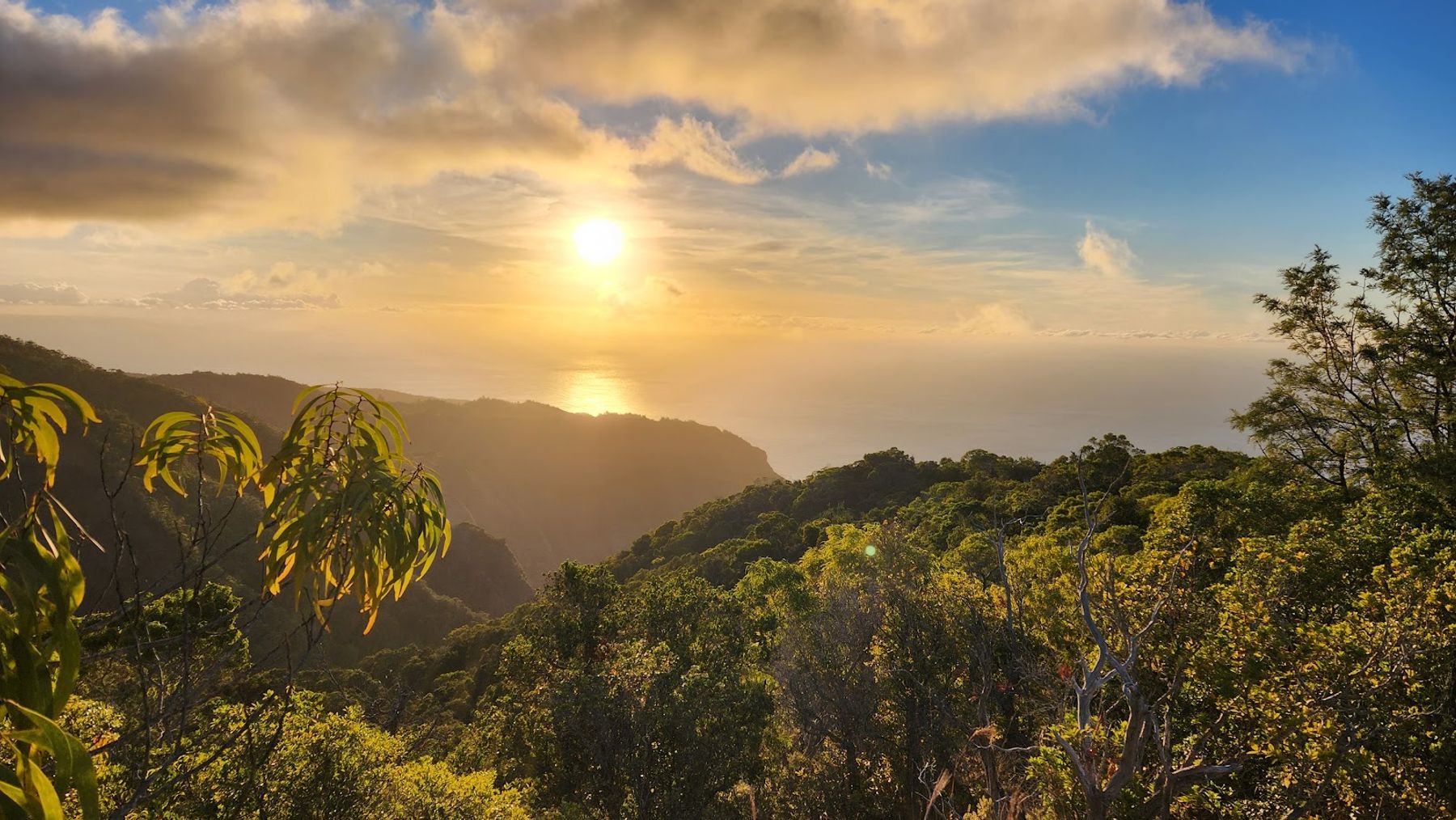 Na Pali-Kona Forest Reserve in Waimea, Kaua‘i photo 3