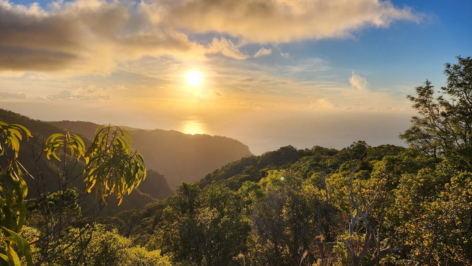 Na Pali-Kona Forest Reserve in Waimea, Kaua‘i photo 3