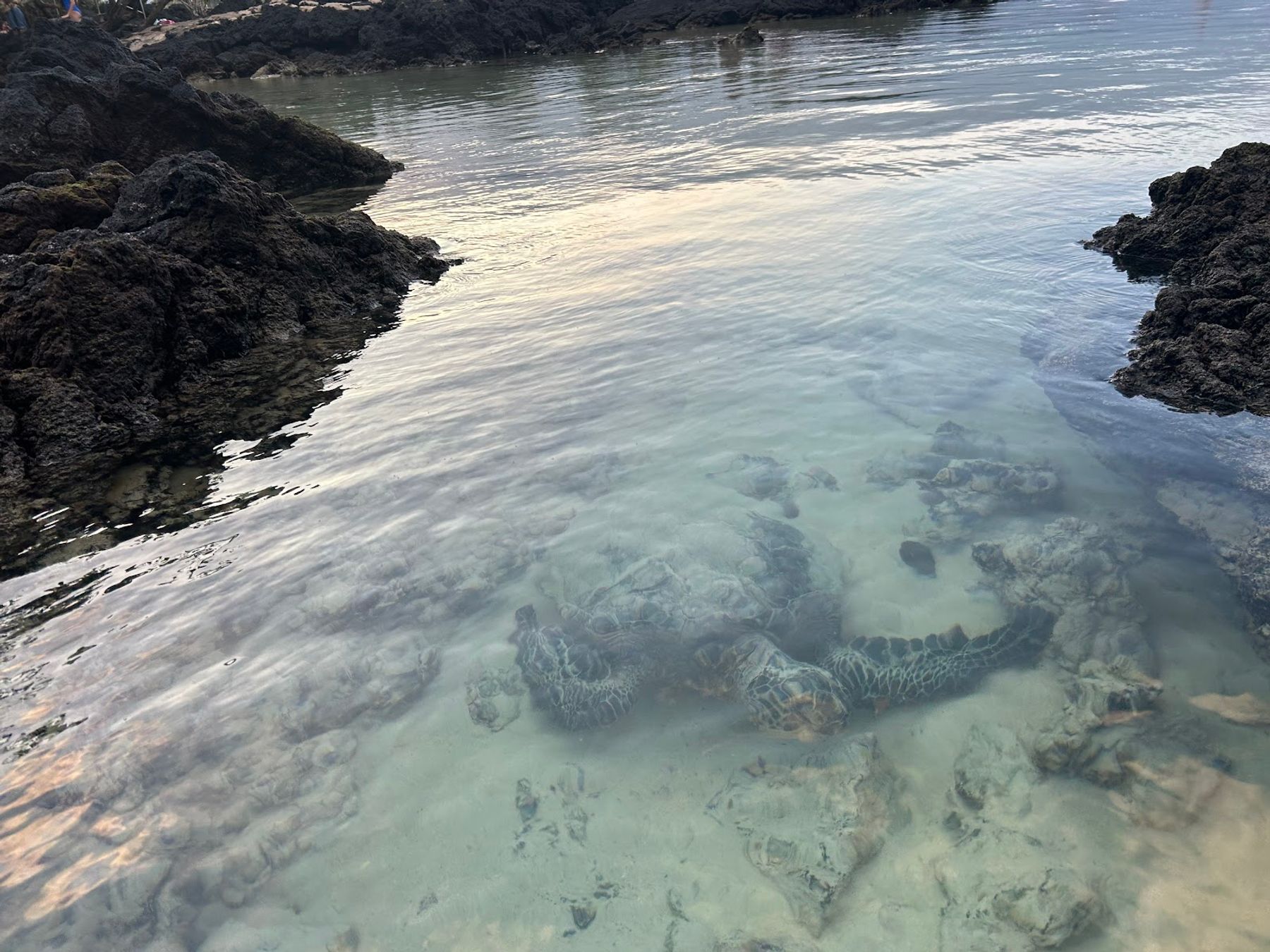 Photo 7 of Carlsmith Beach Park in Hilo, Big Island