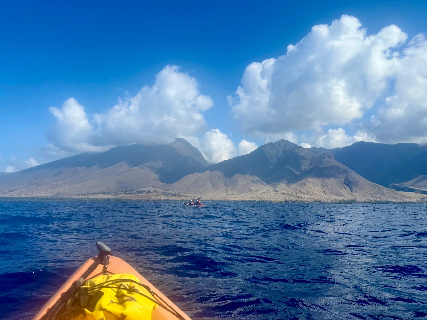 Photo 6 of Maui Adventure Tours Kayak Company in Lāhainā, Maui