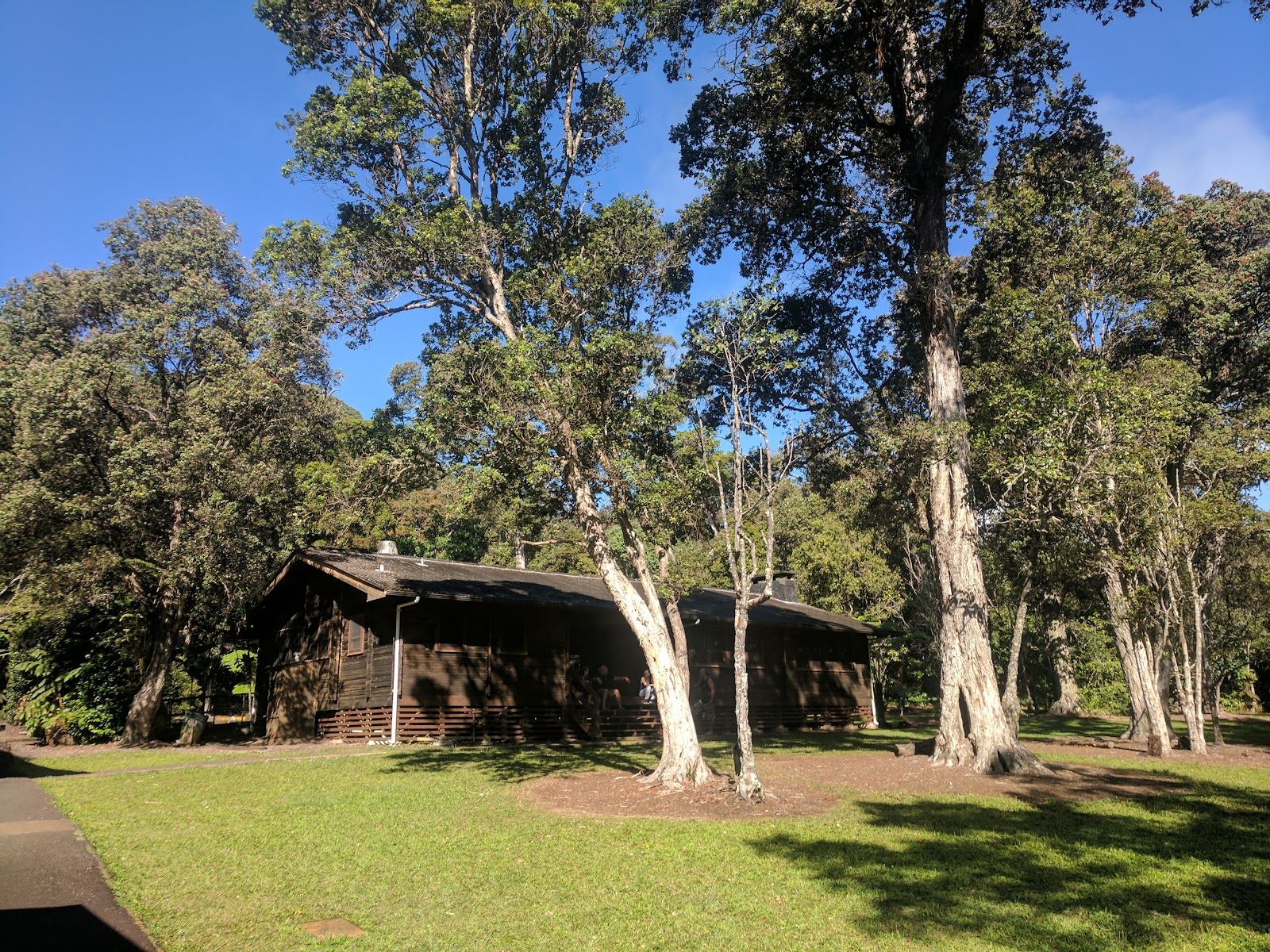 Photo 1 of Kalōpā State Recreation Area in Honokaʻa, Big Island