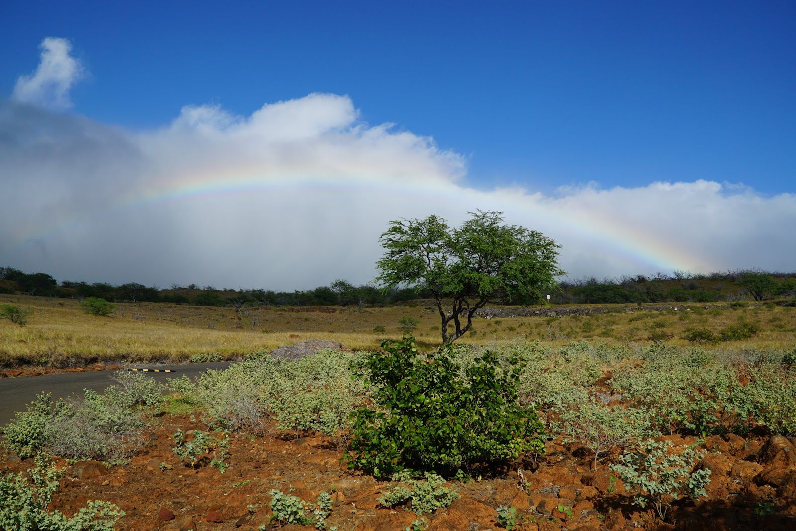 Photo 9 of Lapakahi State Historical Park in North Kohala, Big Island