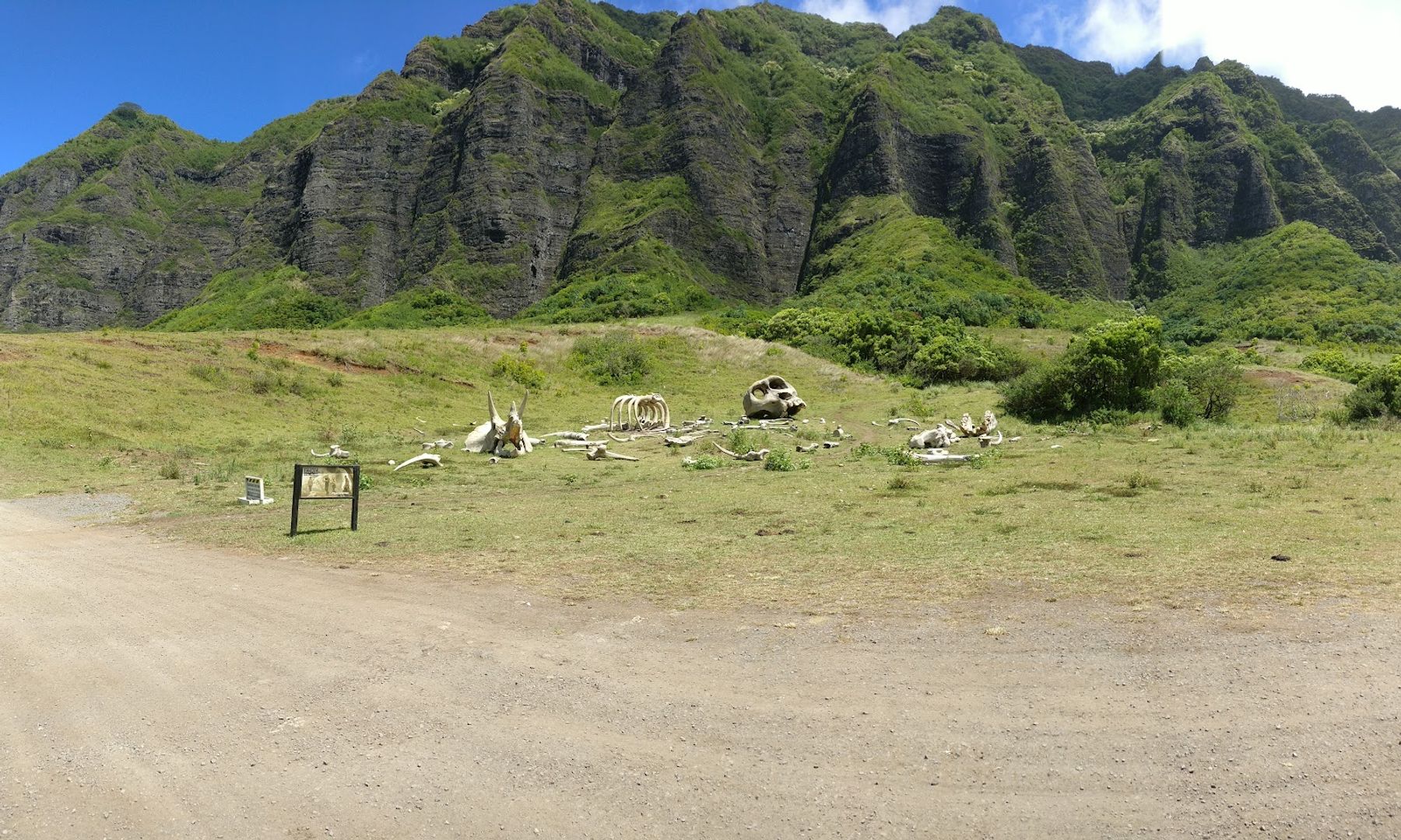 Photo 8 of Kualoa Ranch in Kualoa & North Windward, Oahu