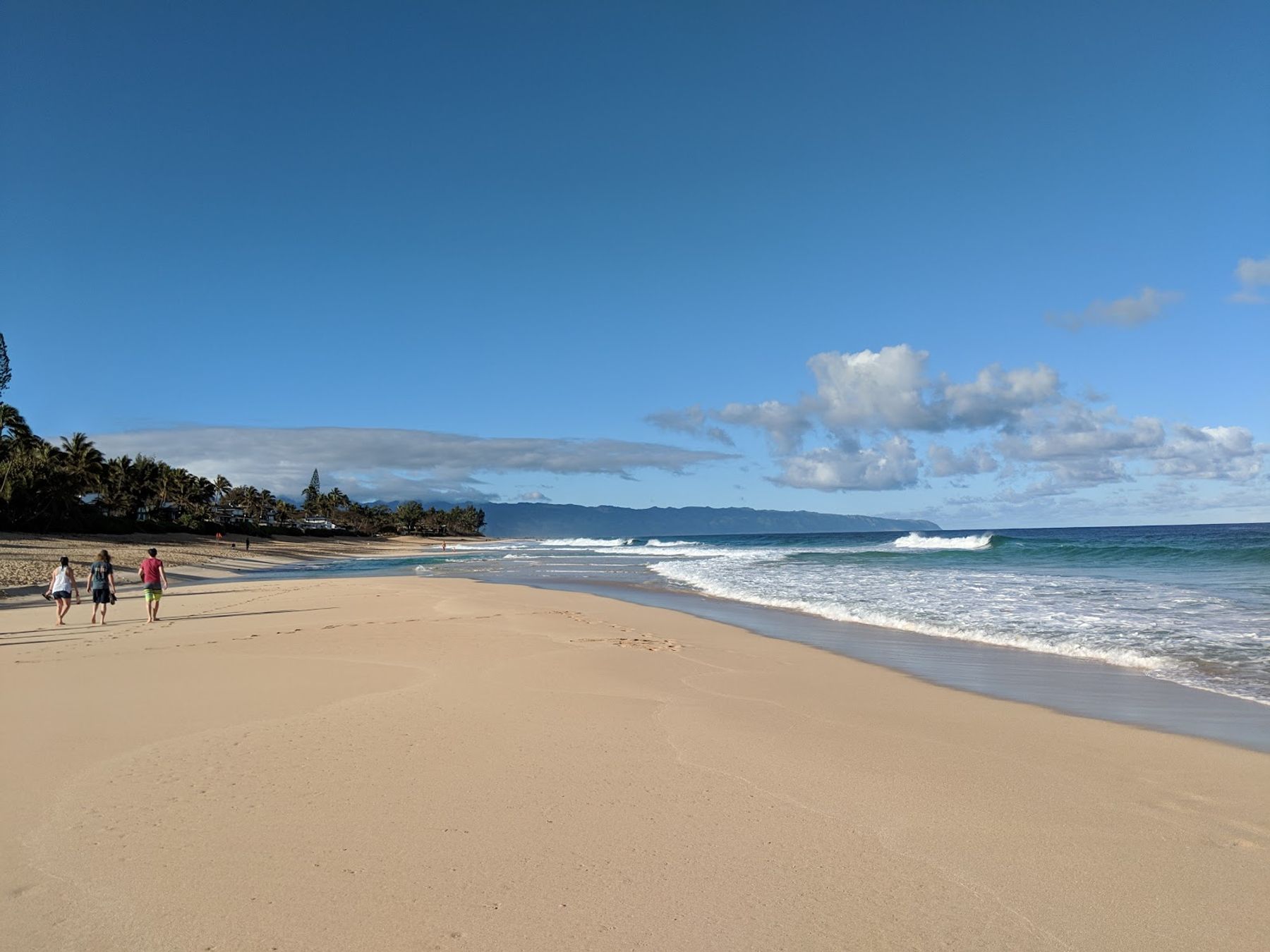 Photo 7 of ʻEhukai Beach Park in Pūpūkea, Oahu