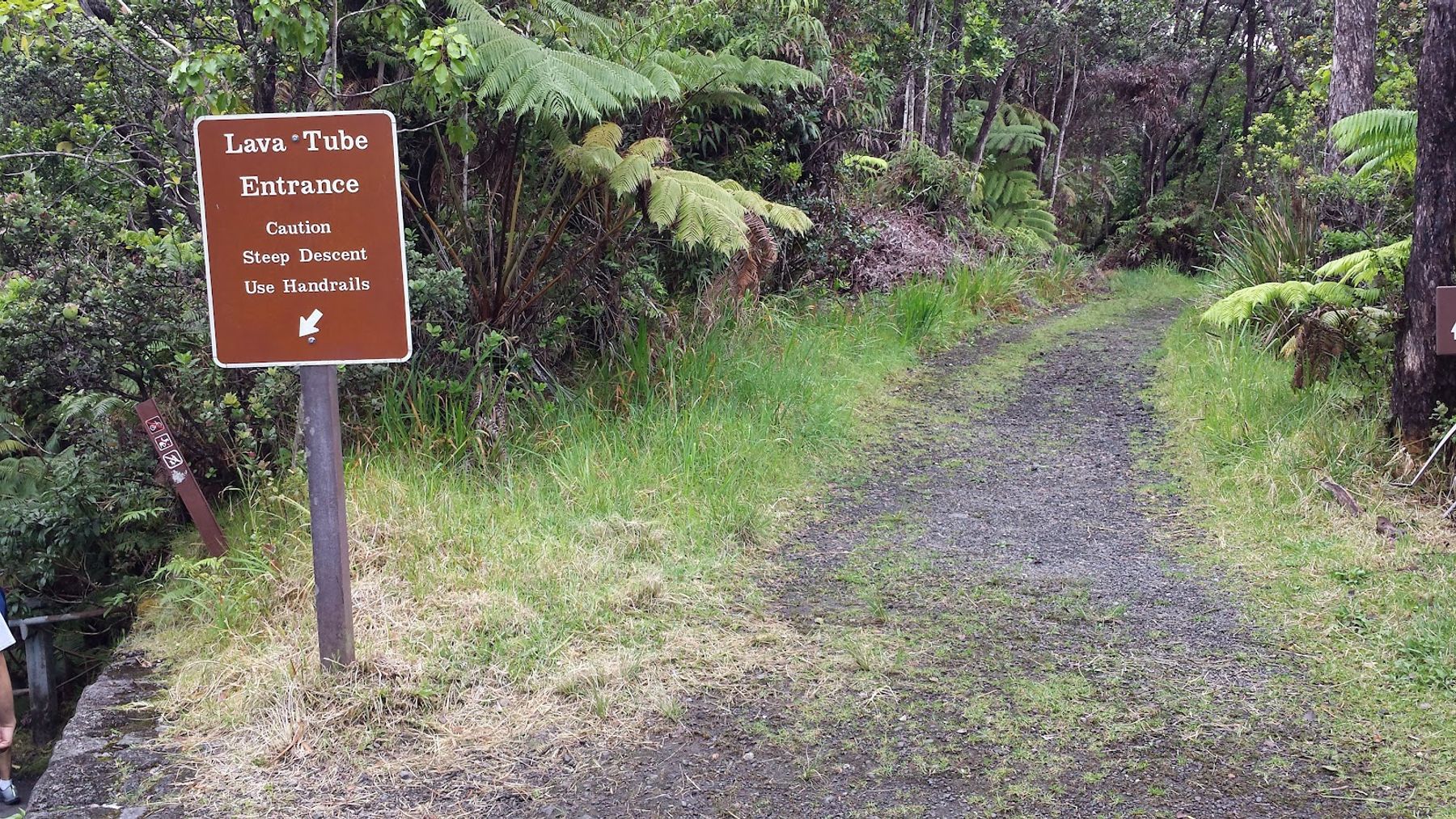 Photo 6 of Nāhuku Lava Tube in Volcano, Big Island