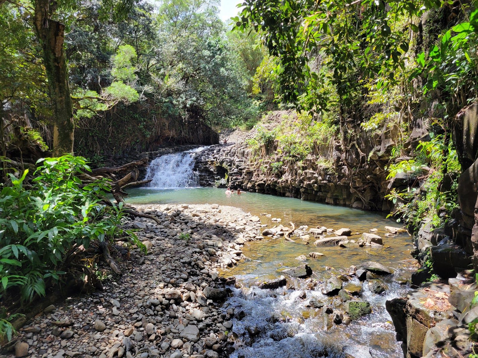 Photo 8 of Twin Falls Maui in Haʻikū, Maui