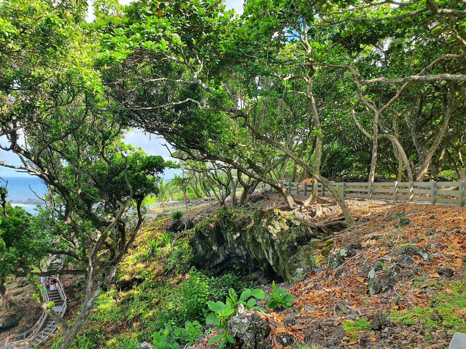 Photo 8 of Black Sand Beach in Hāna, Maui