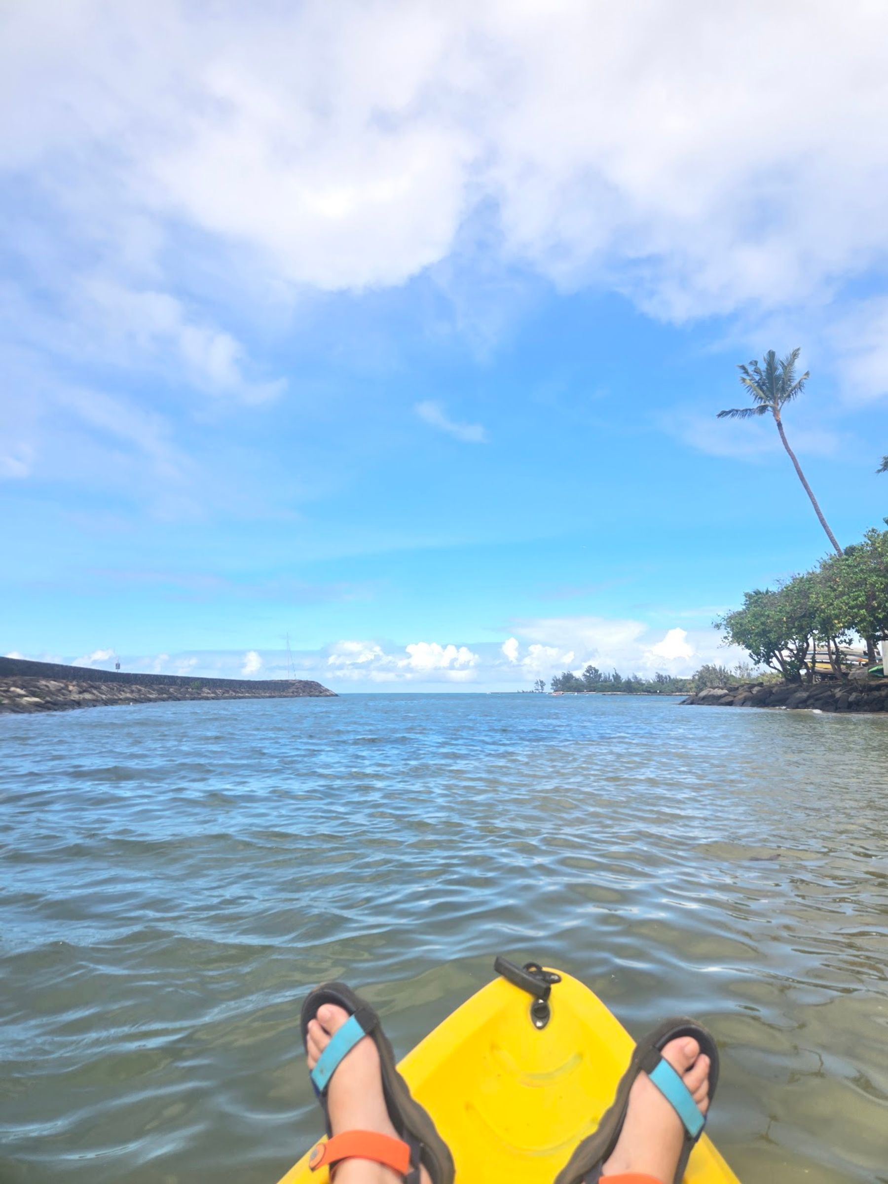 Photo 4 of Blue Planet Adventure Co in Haleʻiwa, Oahu