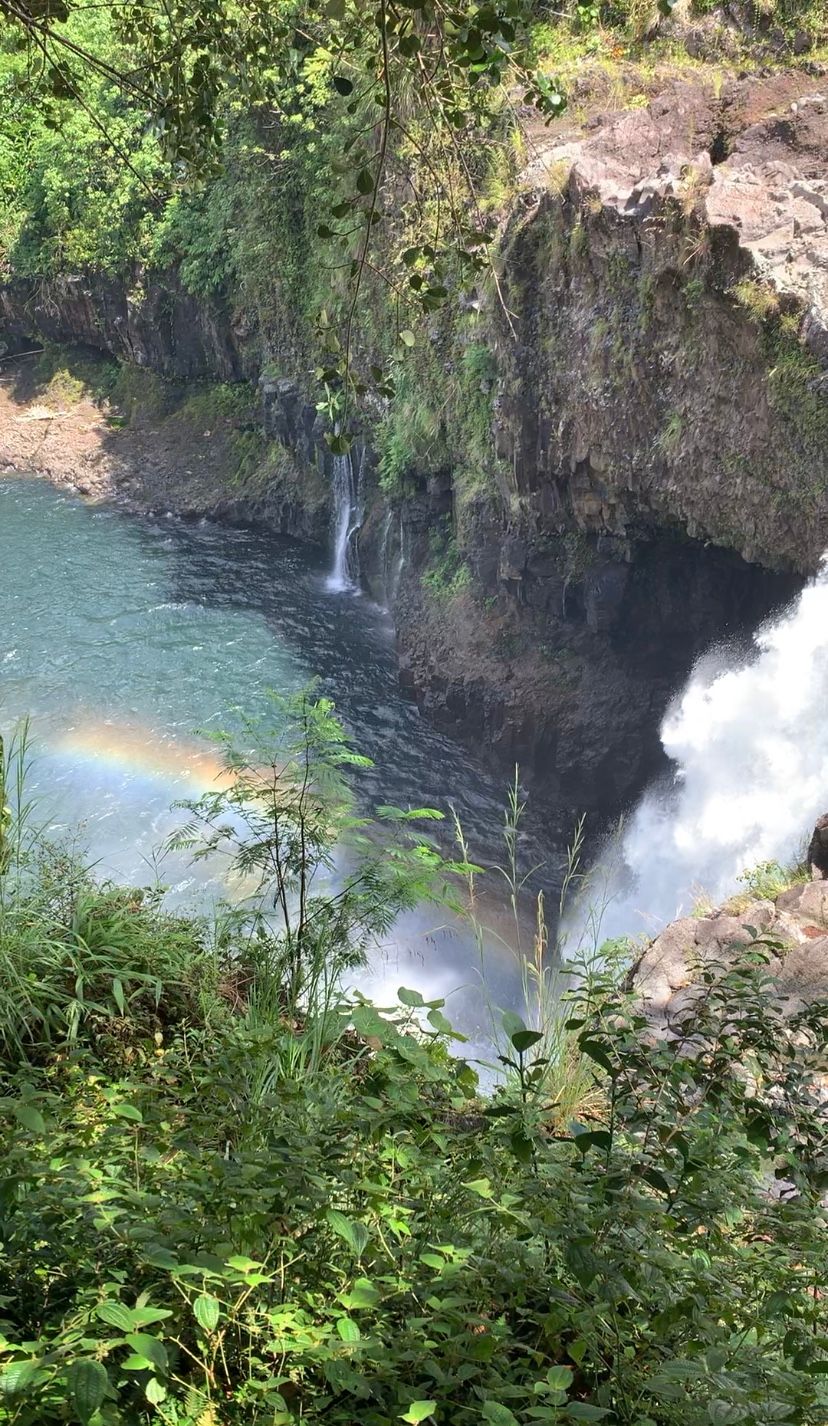 Photo 8 of O.K. Farms Hawai'i in Hilo, Big Island