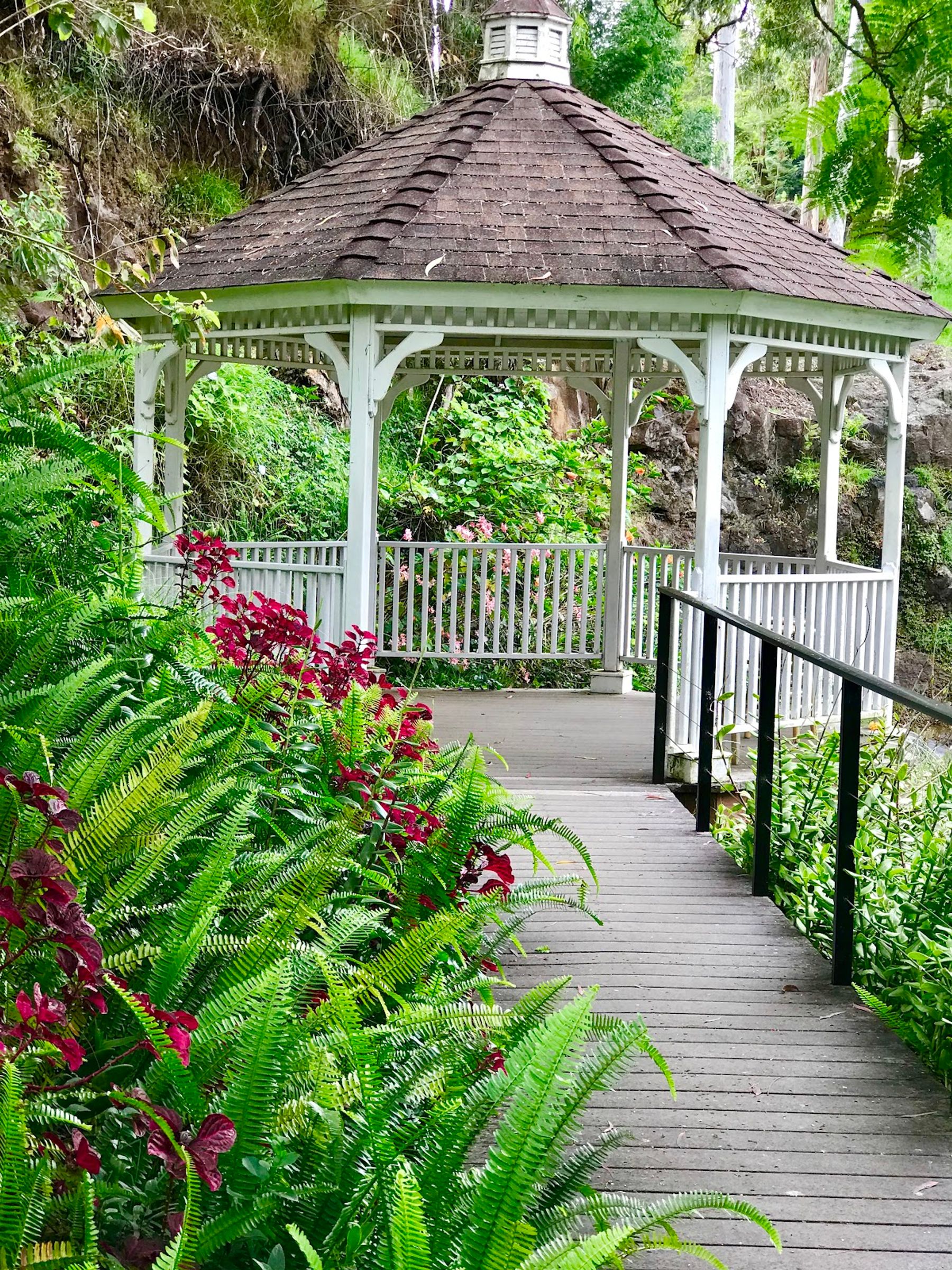 Photo 2 of Kula Botanical Garden in Kula, Maui