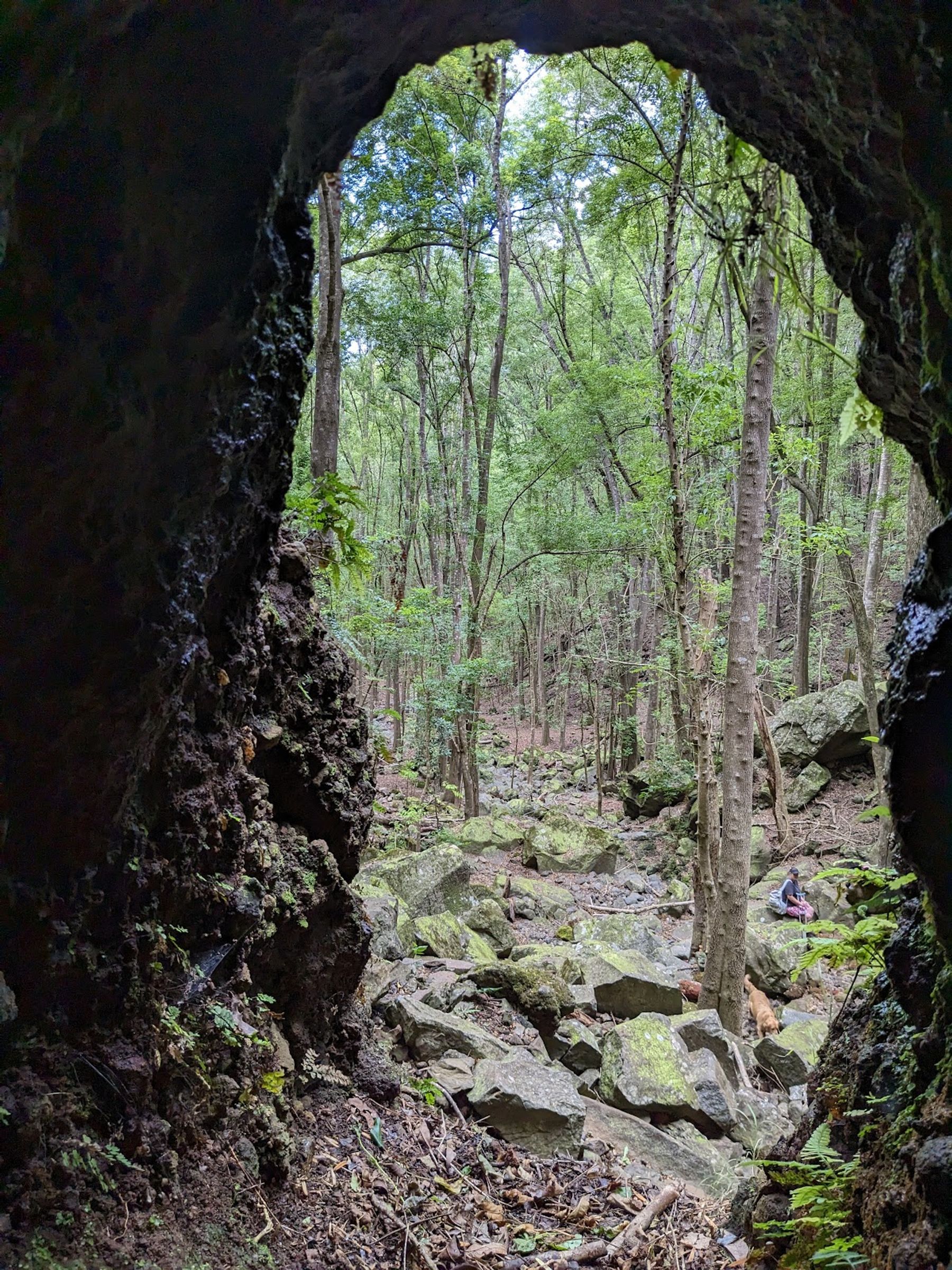Photo 5 of Waihou Spring Trail in Makawao & Pukalani, Maui