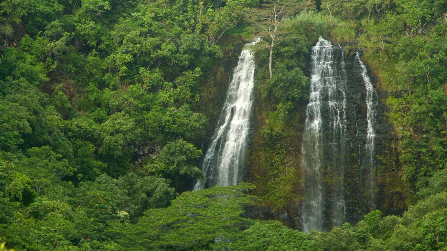 Wailua Homesteads, Kaua'i