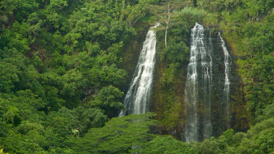 Wailua Homesteads, Kaua'i