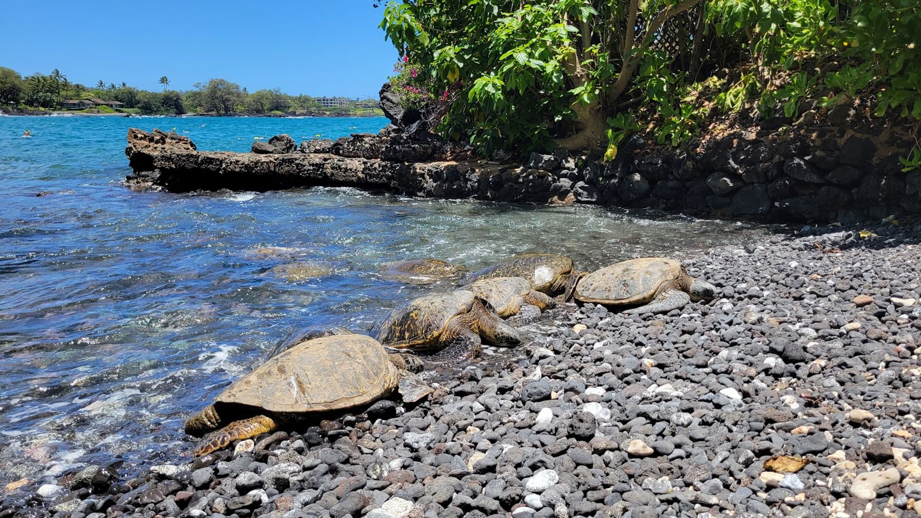 Photo 4 of Makena Landing Park in Mākena, Maui