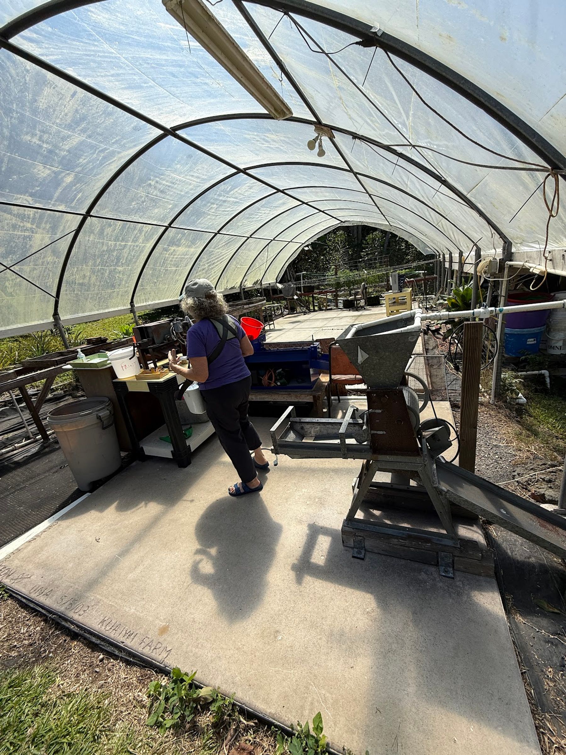 Photo 7 of Kuaiwi Farm in South Kona, Big Island